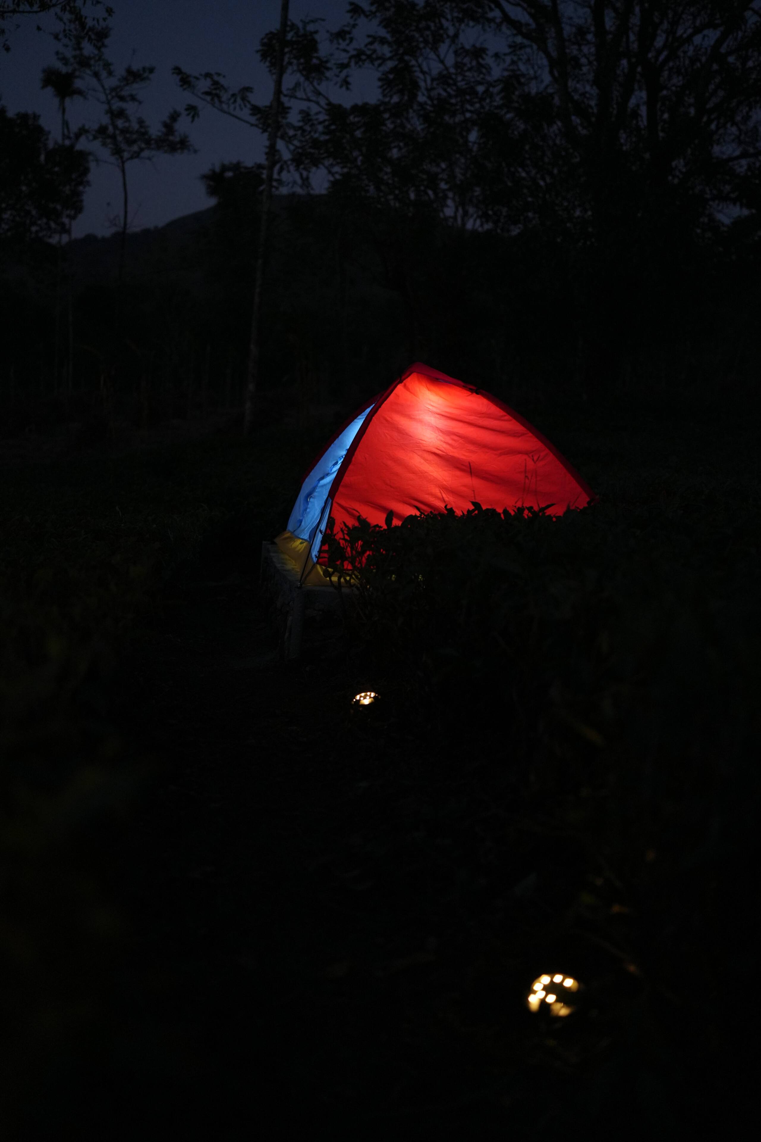 Aura Tree House Tent 1 35