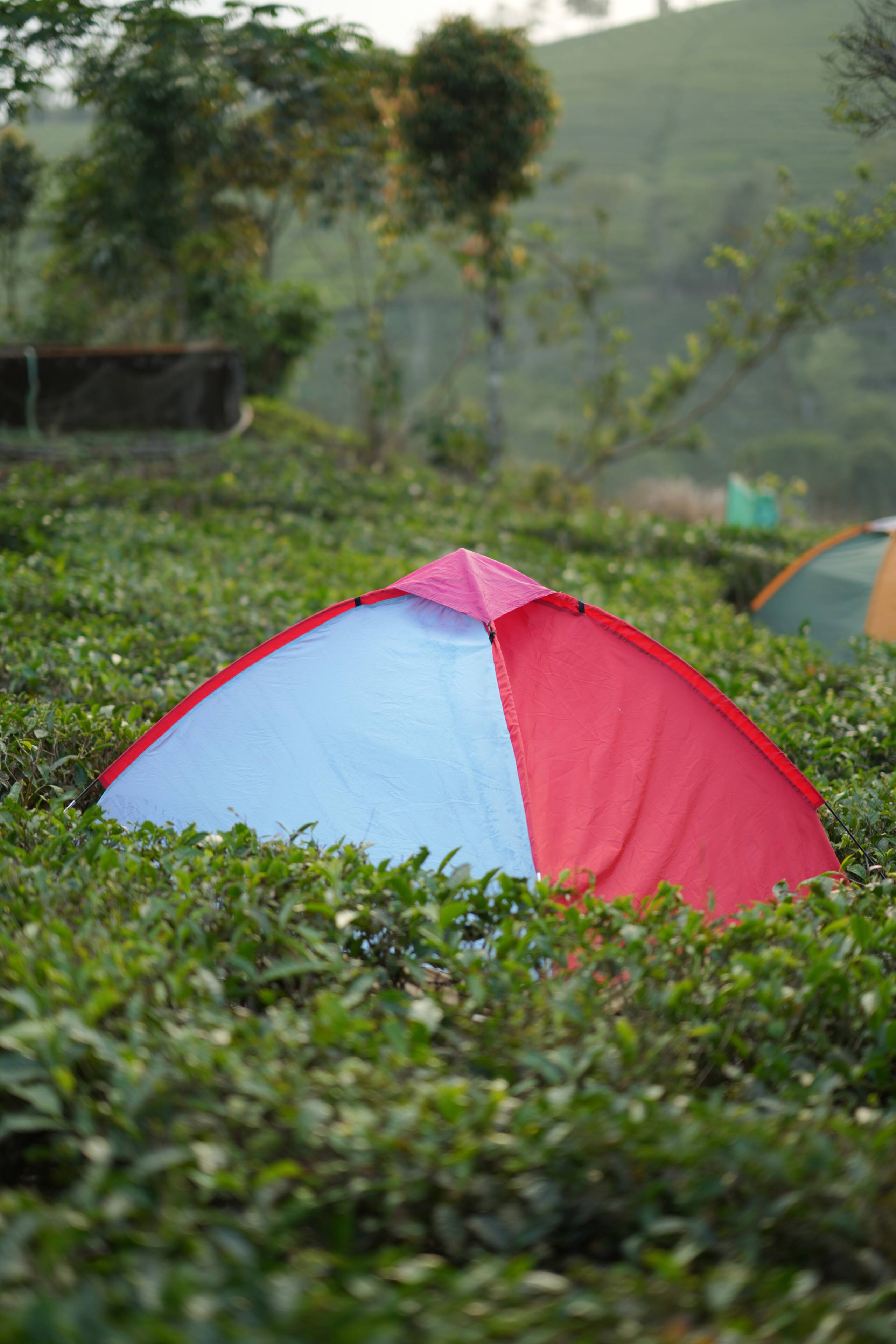 Aura Tree House Tent 1 32