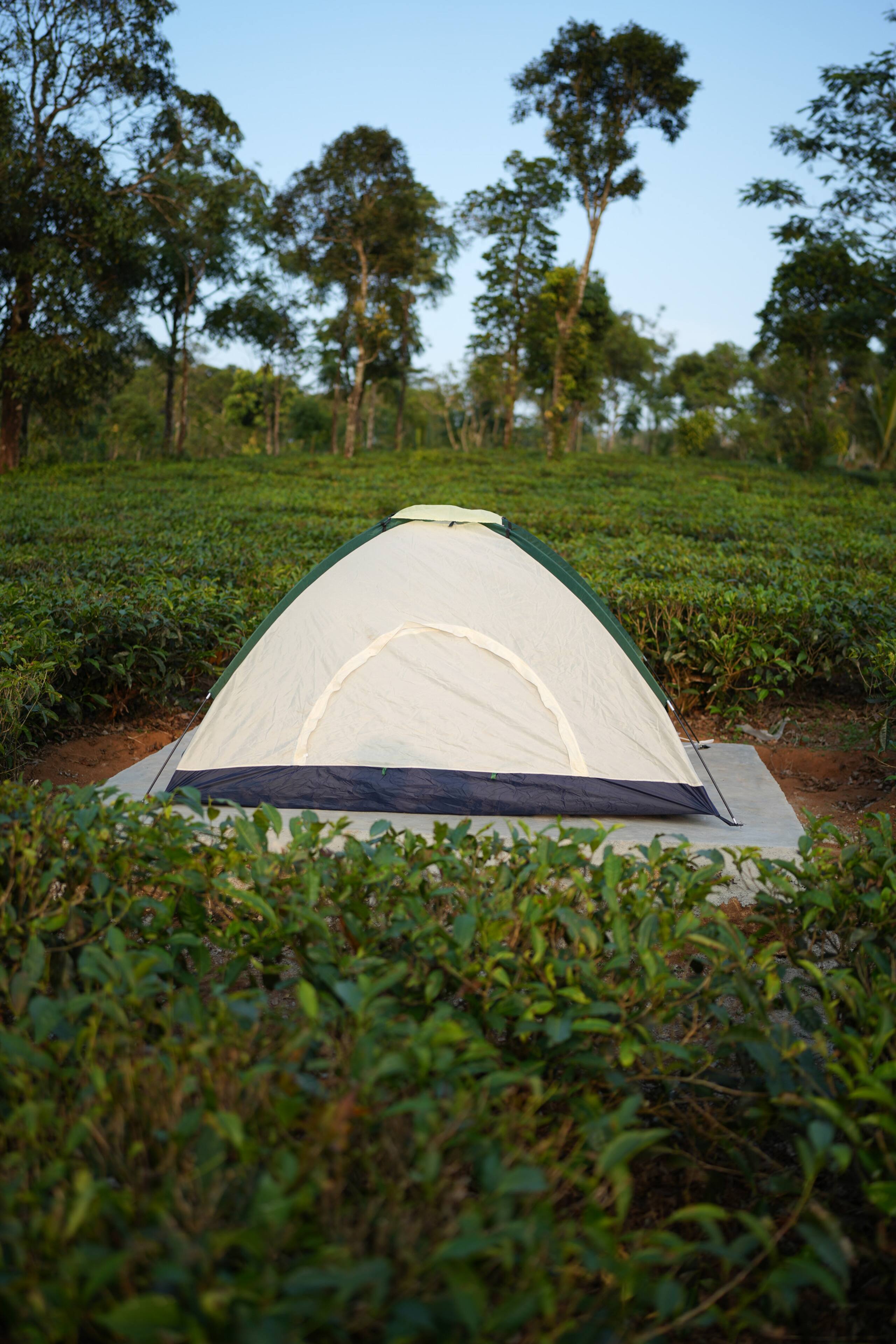 Aura Tree House Tent 1 14