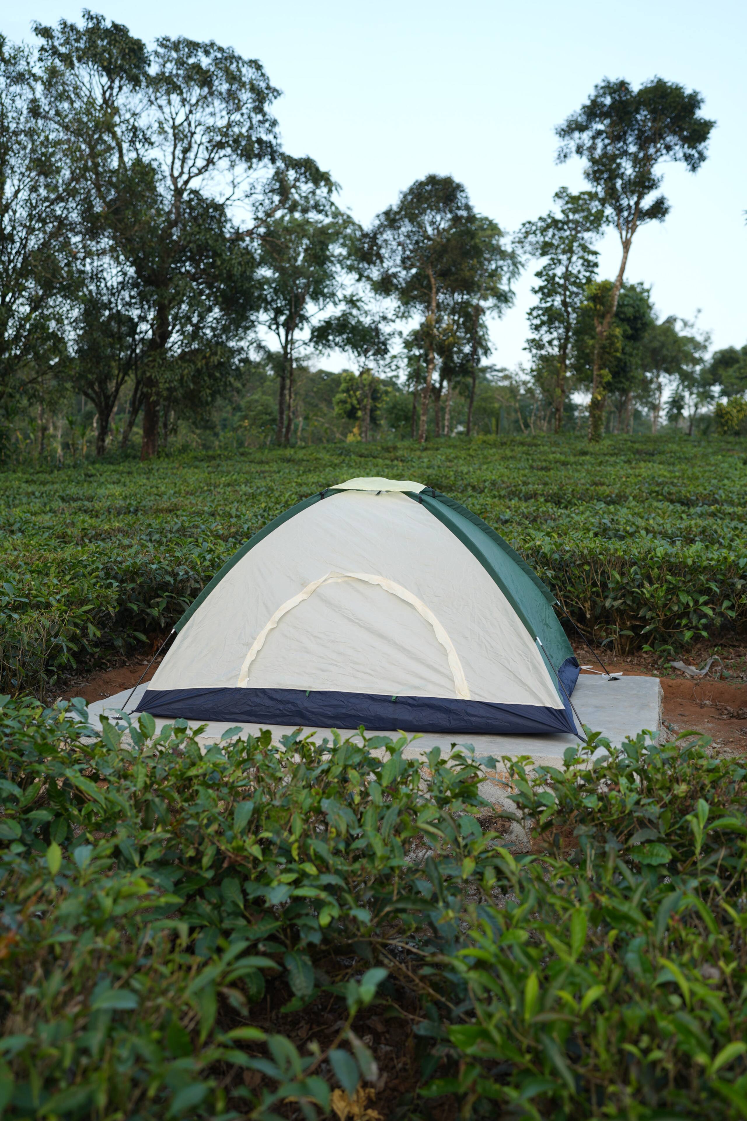 Aura Tree House Tent 1 8