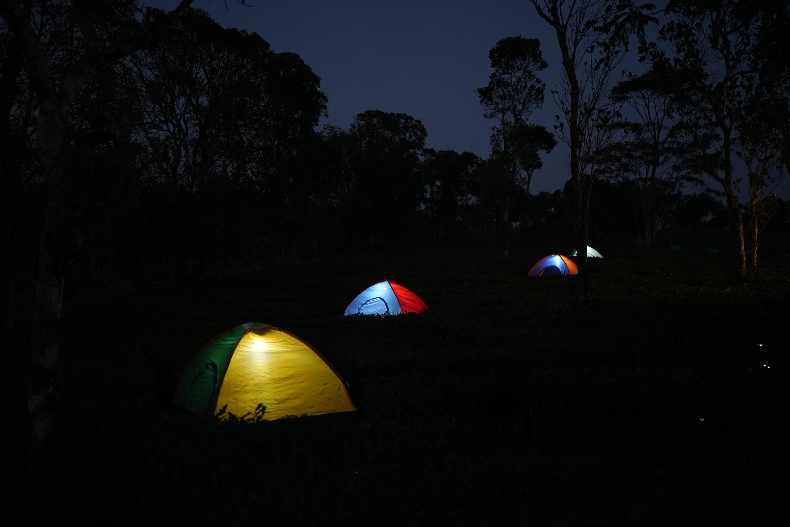 Aura Tree House Tent 1 16