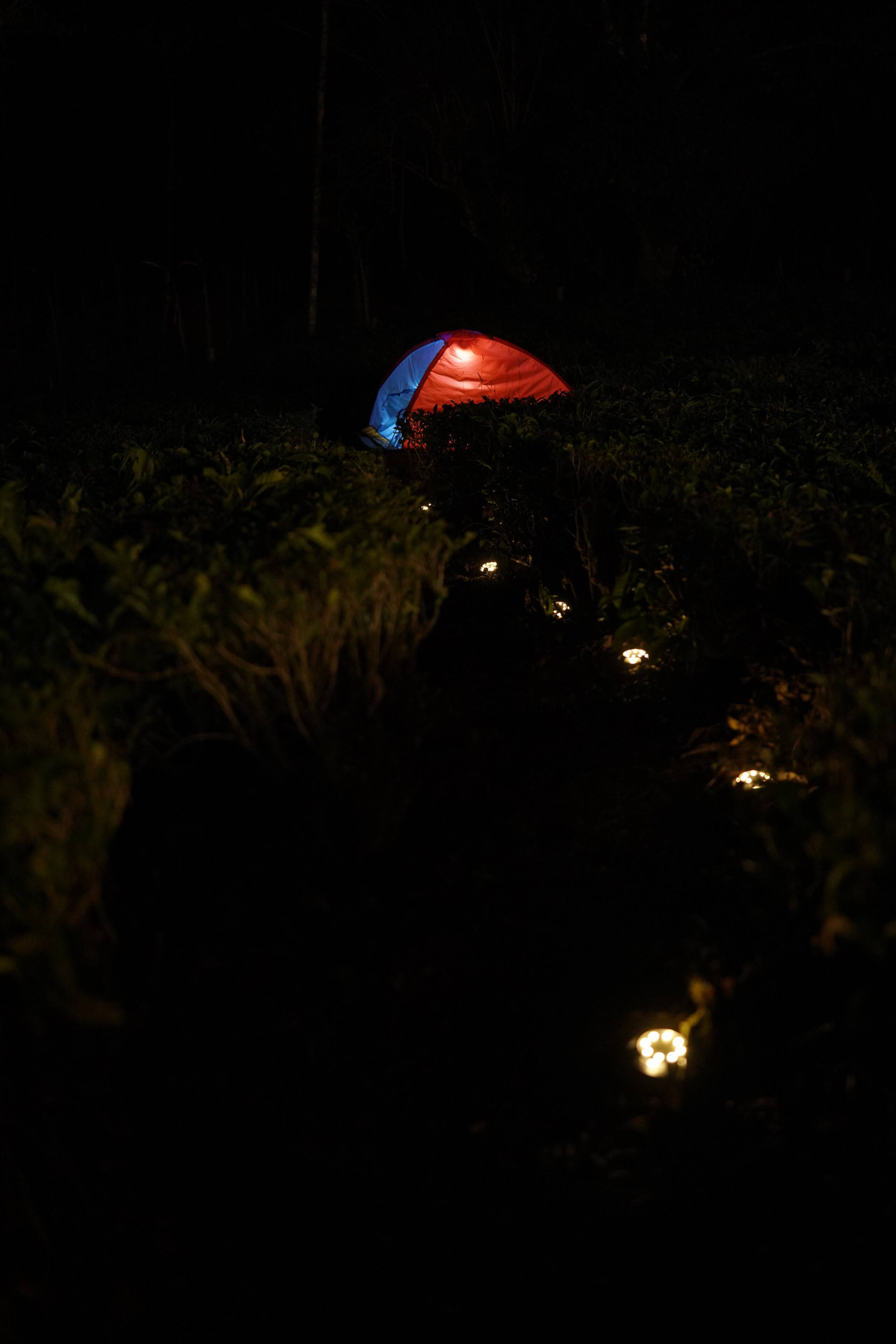 Aura Tree House Tent 1 24