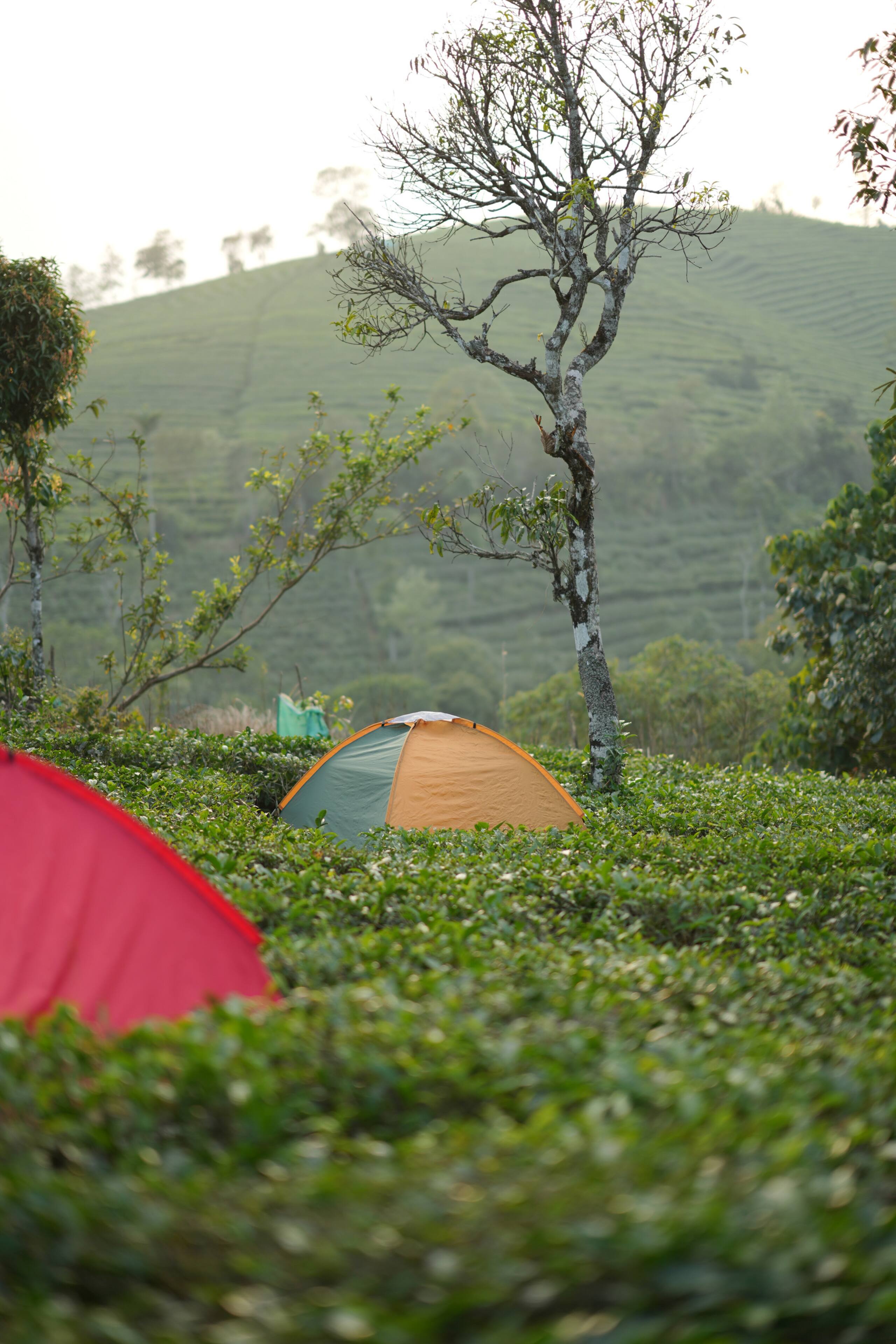 Aura Tree House Tent 1 34