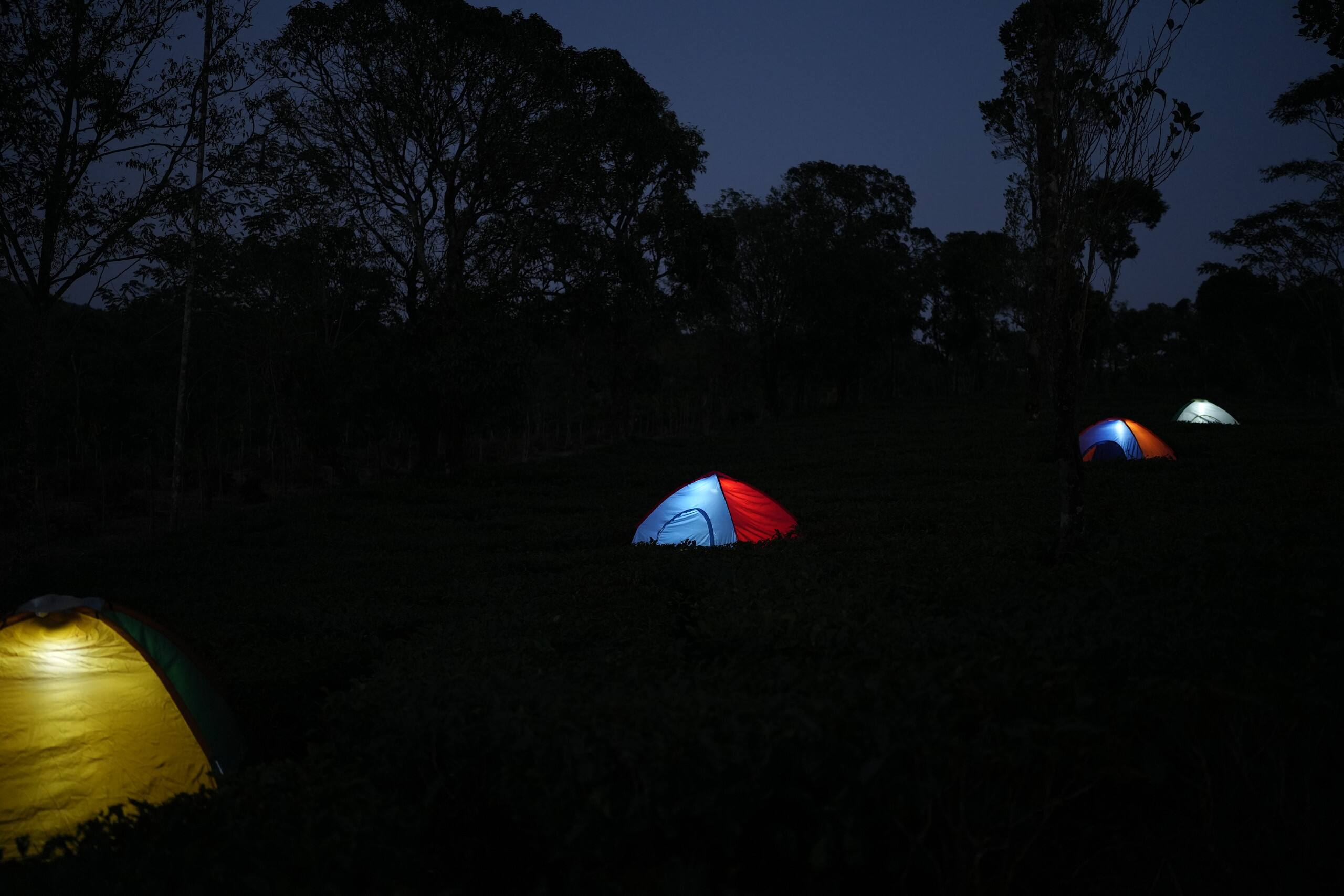 Aura Tree House Tent 1 36