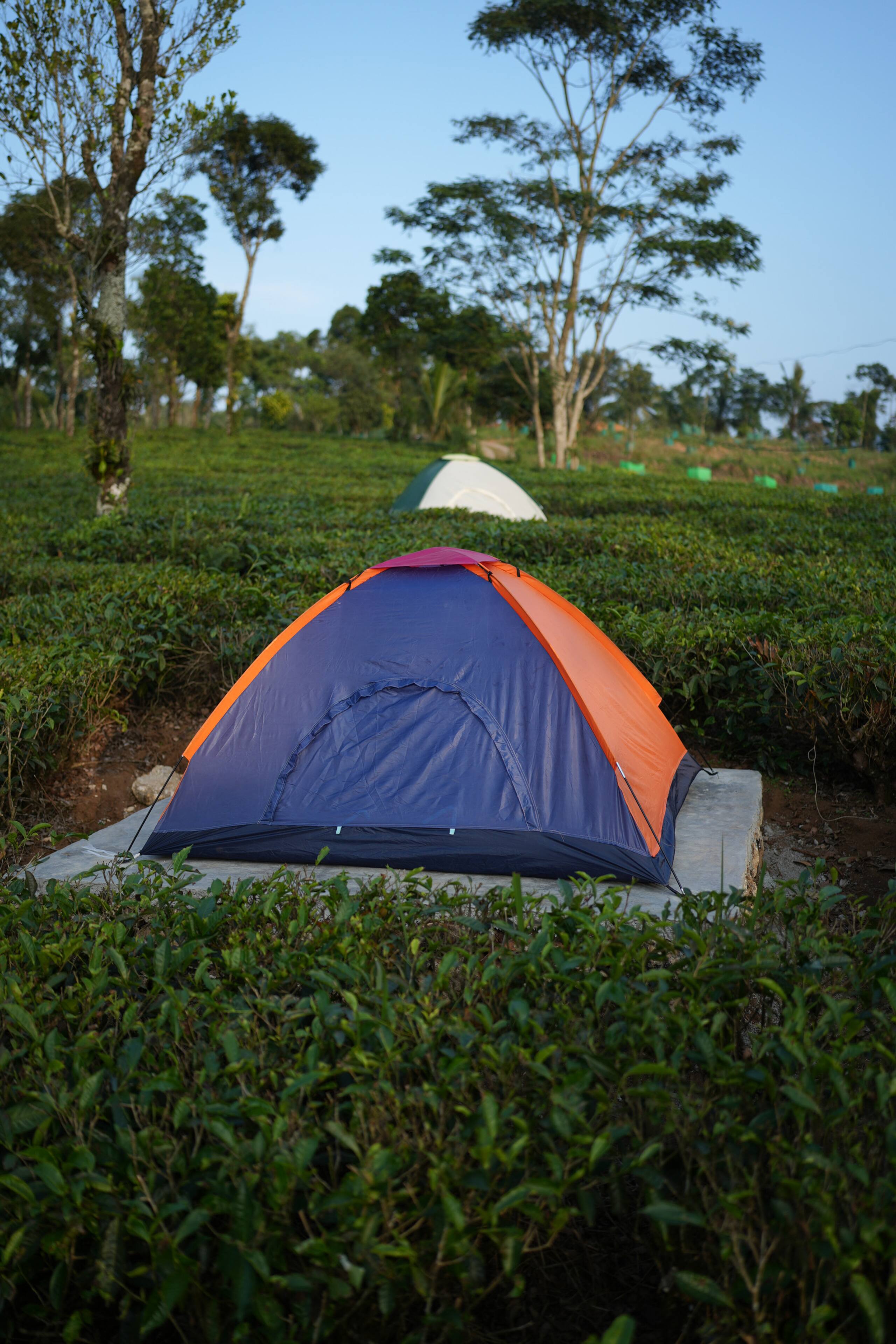Aura Tree House Tent 1 6