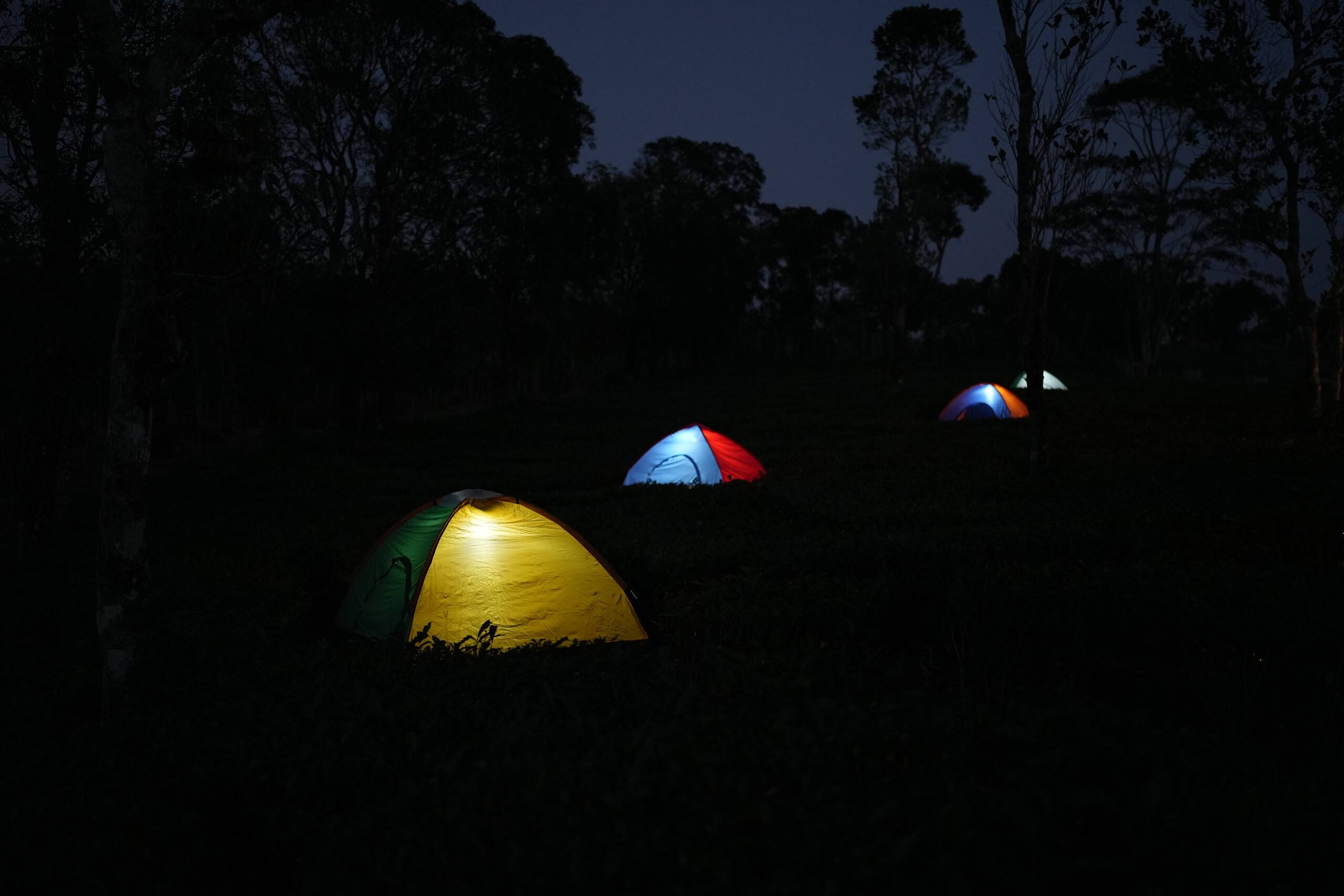 Aura Tree House Tent 1 13