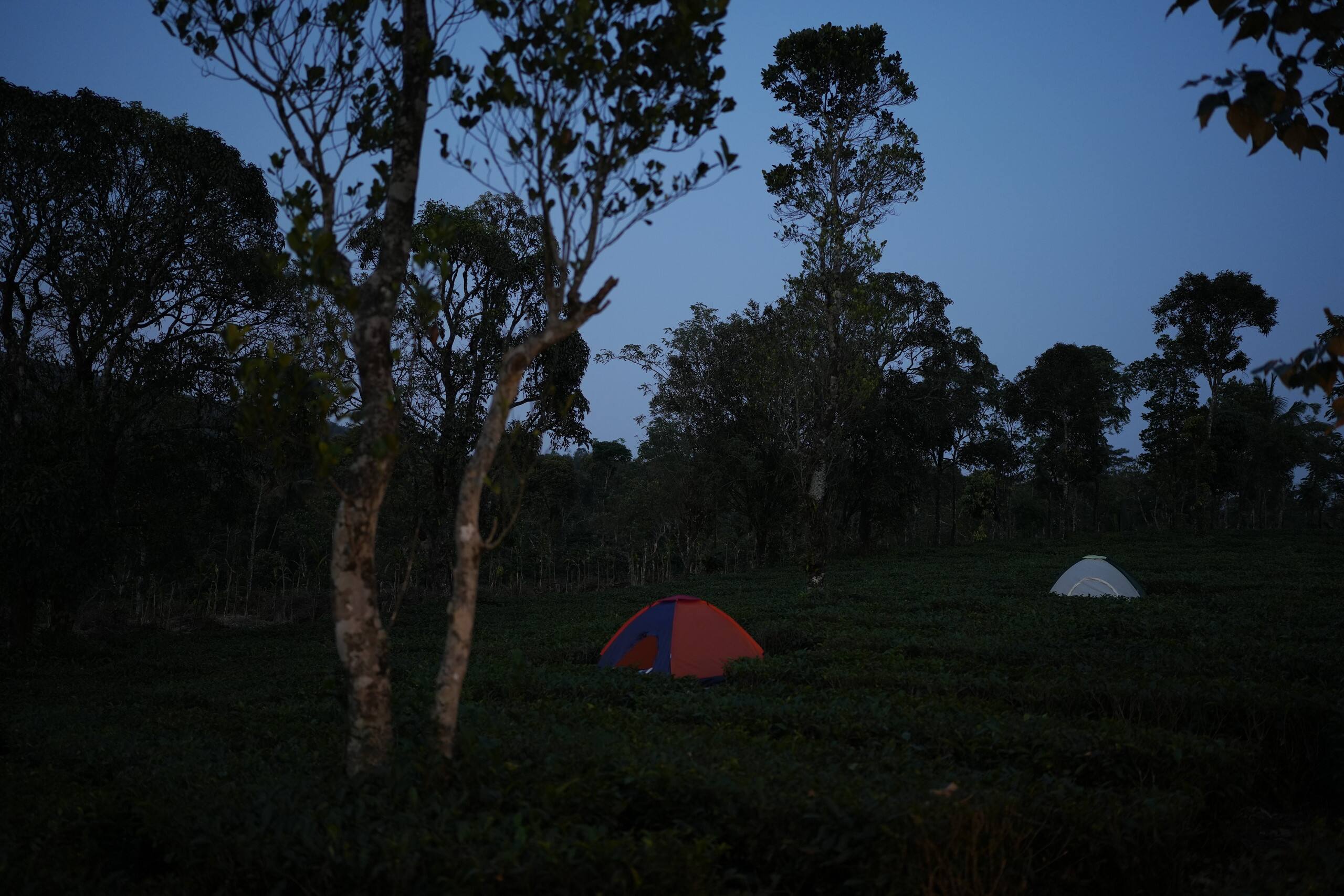 Aura Tree House Tent 1 27