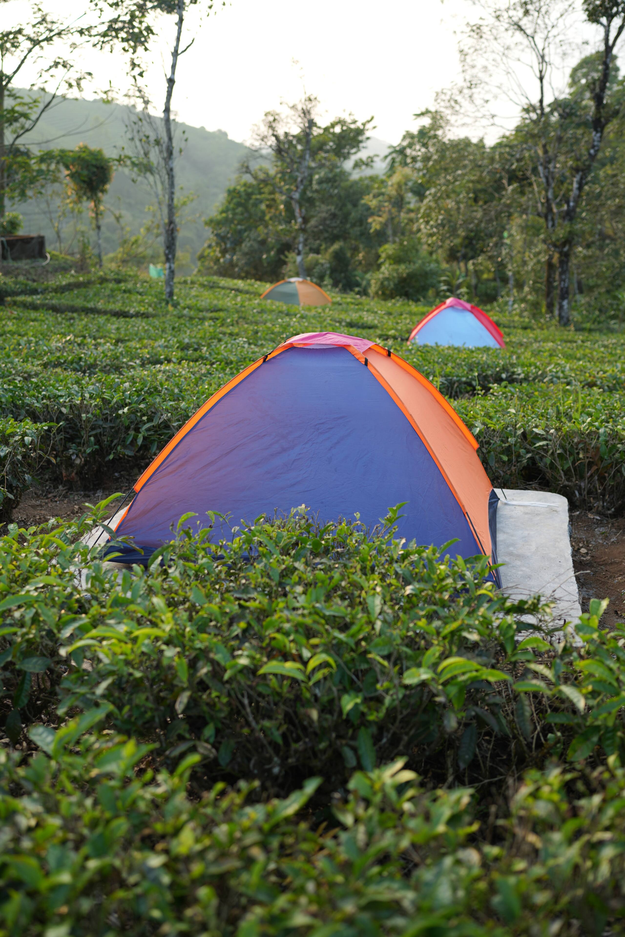 Aura Tree House Tent 1 29