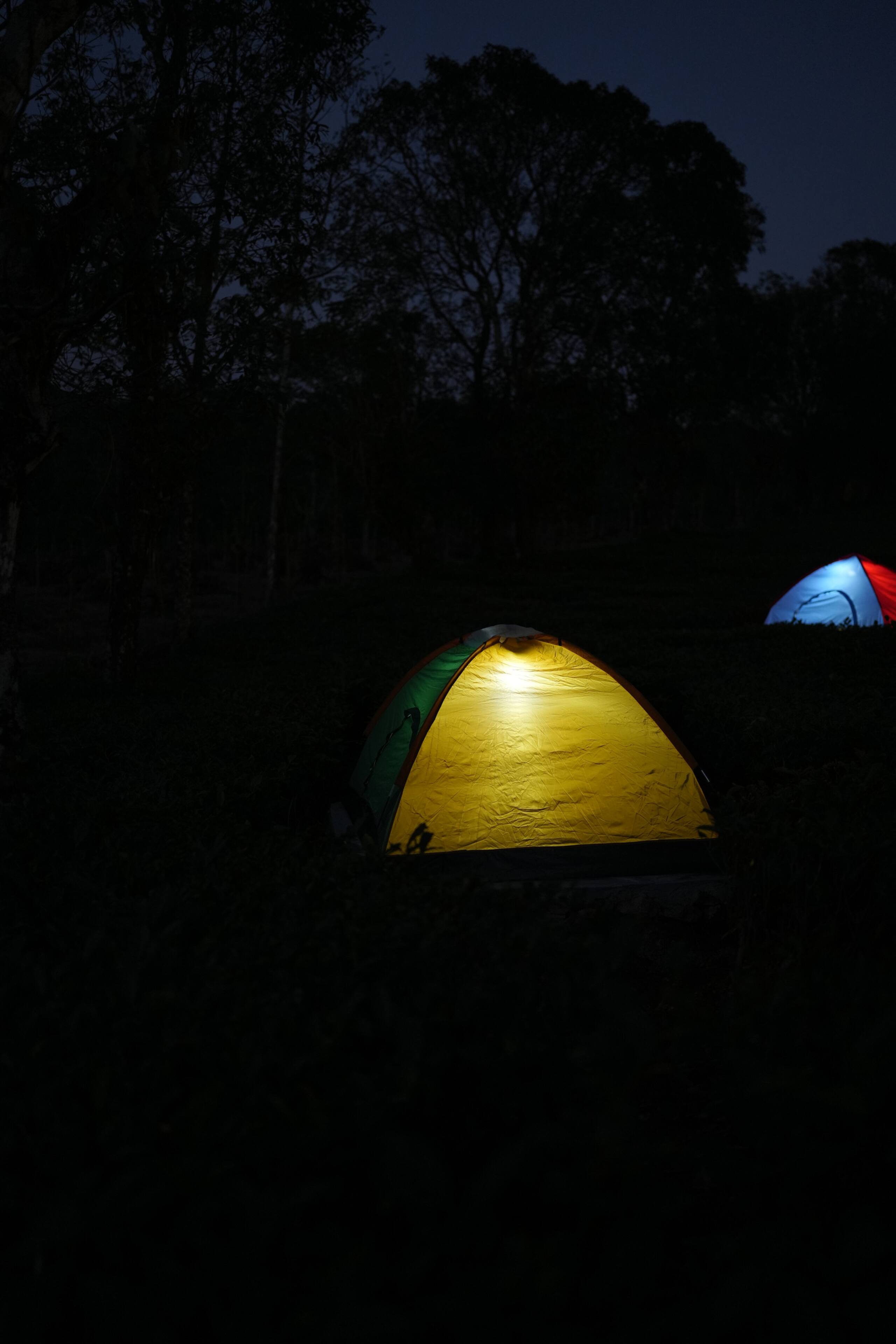 Aura Tree House Tent 1 26