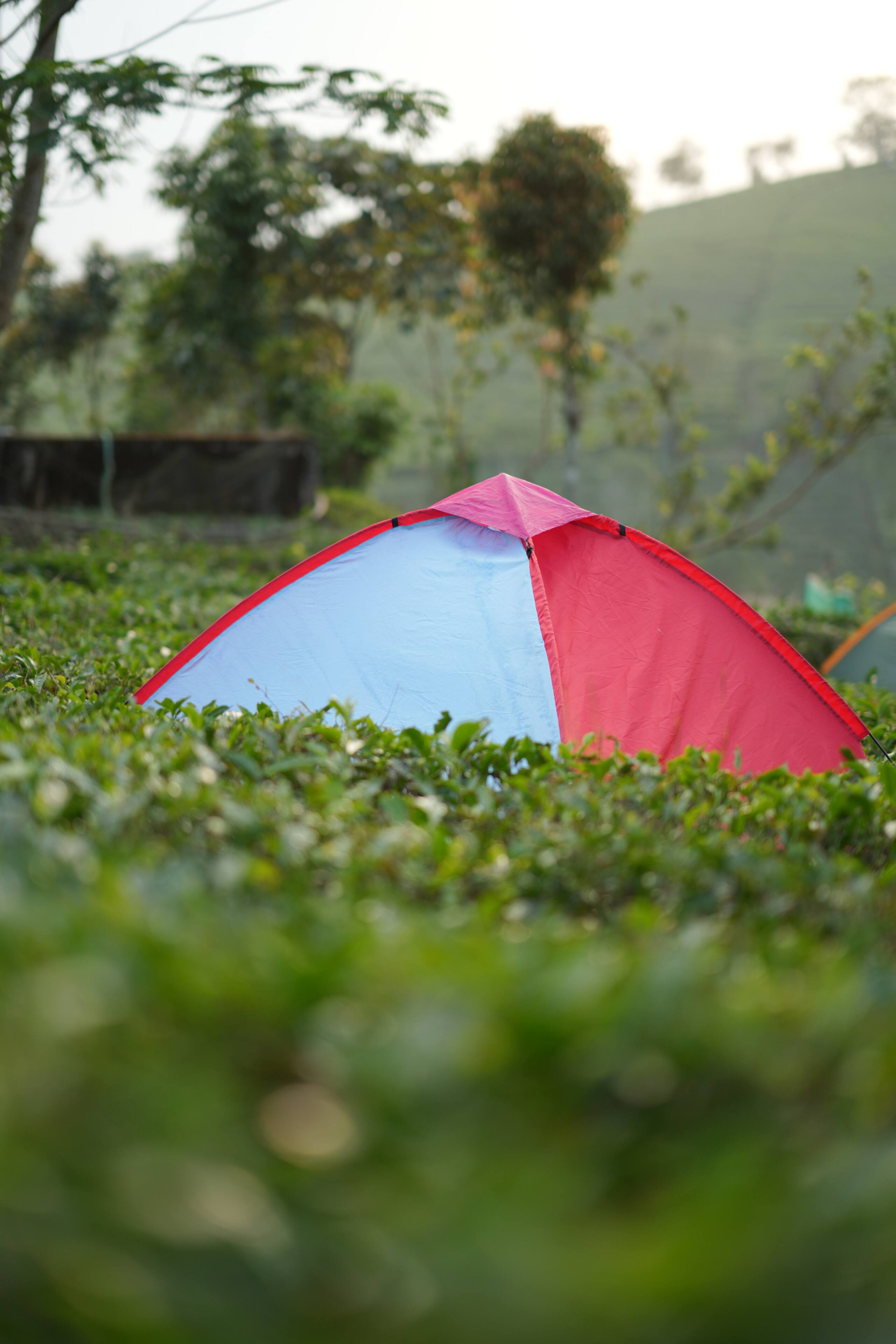 Aura Tree House Tent 1 33