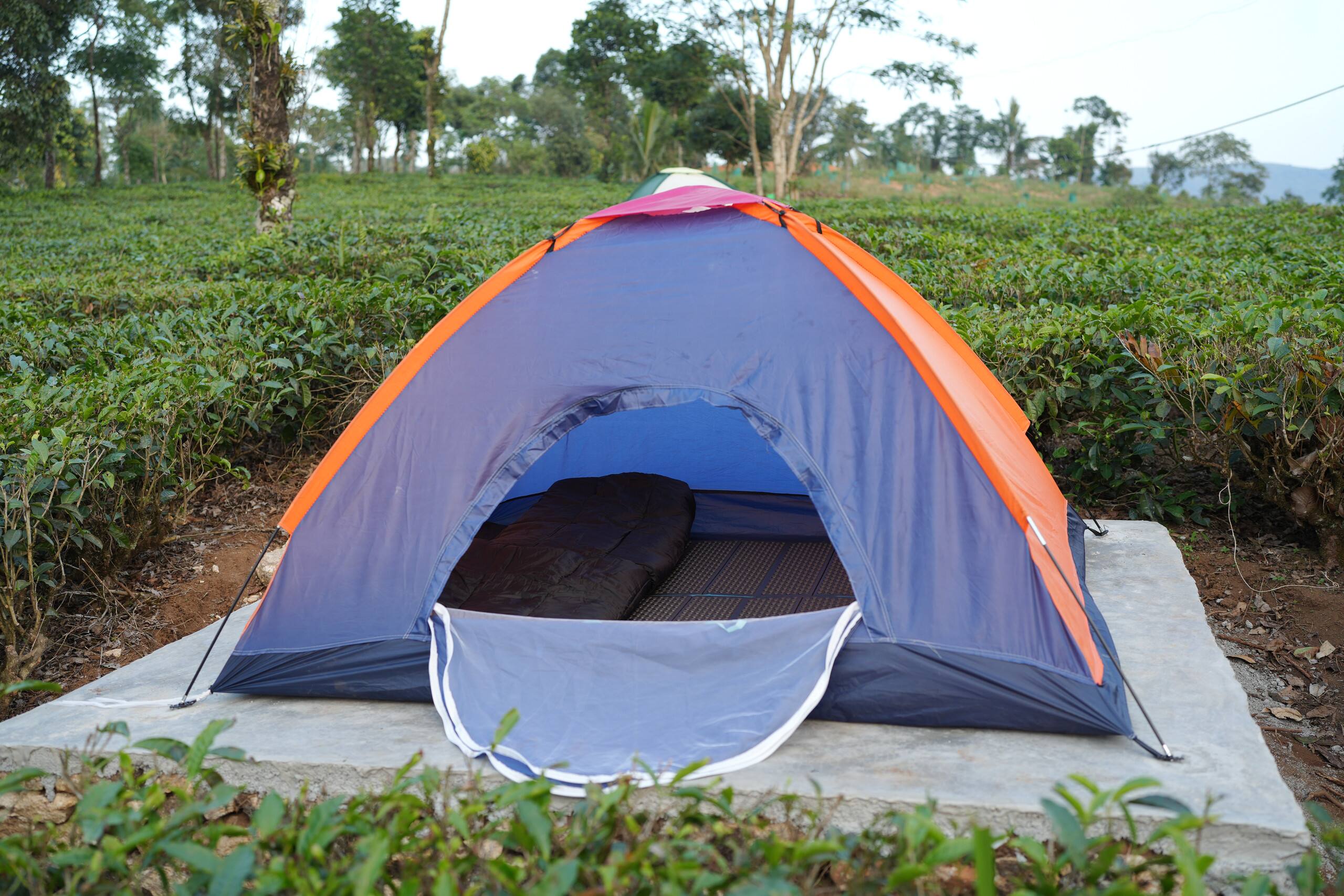 Aura Tree House Tent 1