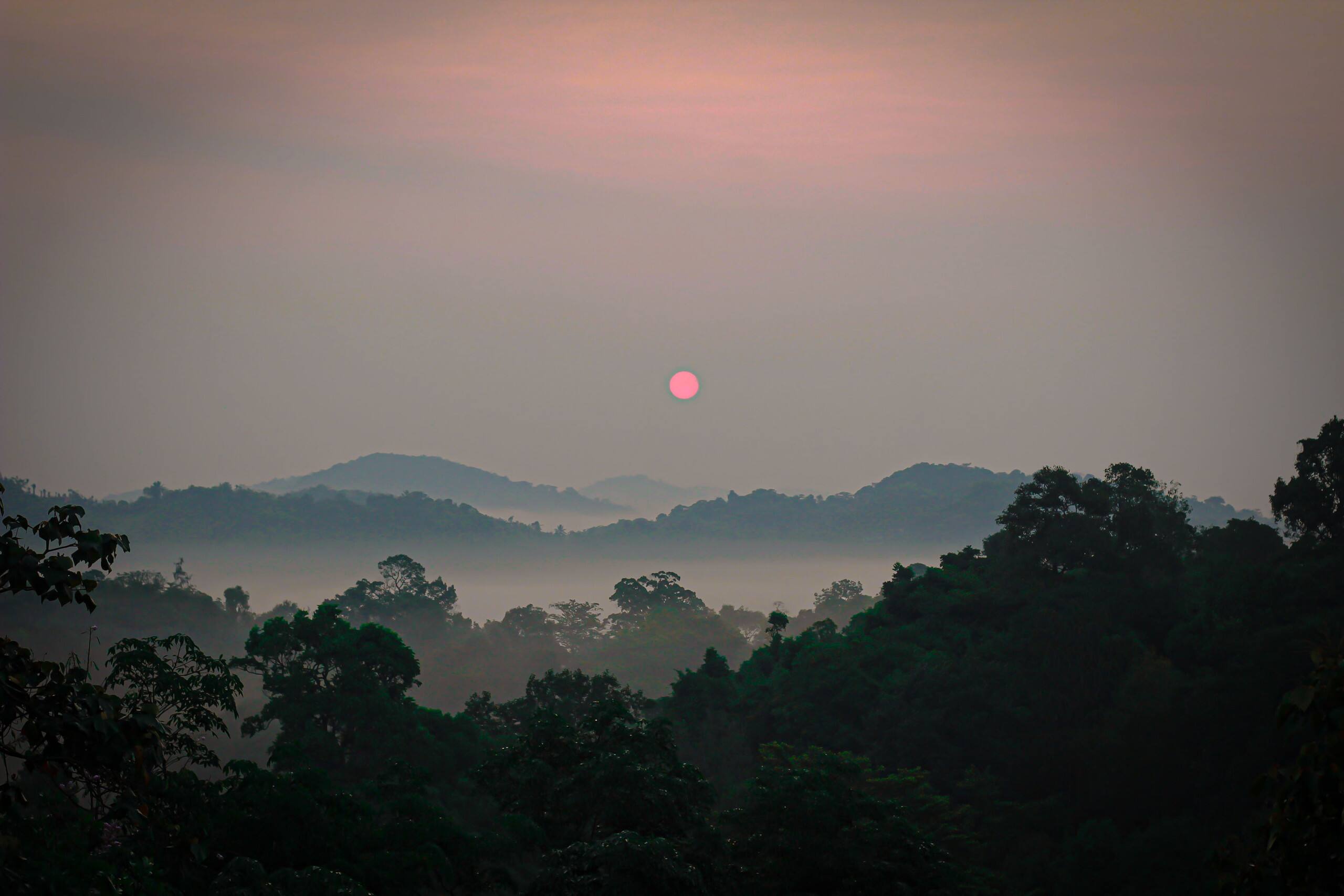 Sunrice Forest Villa Wayanad 7
