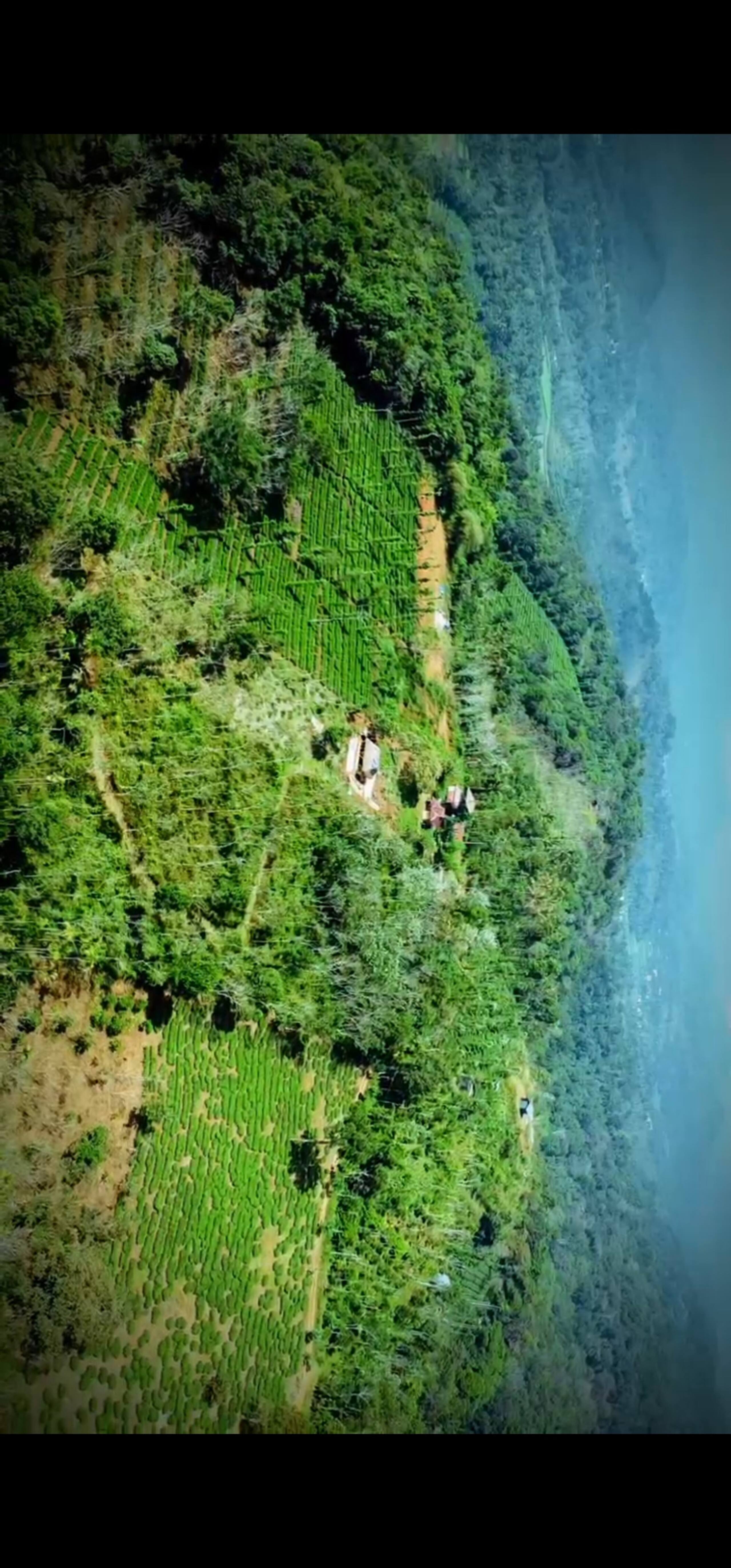 Sunrice Forest Villa Wayanad 31