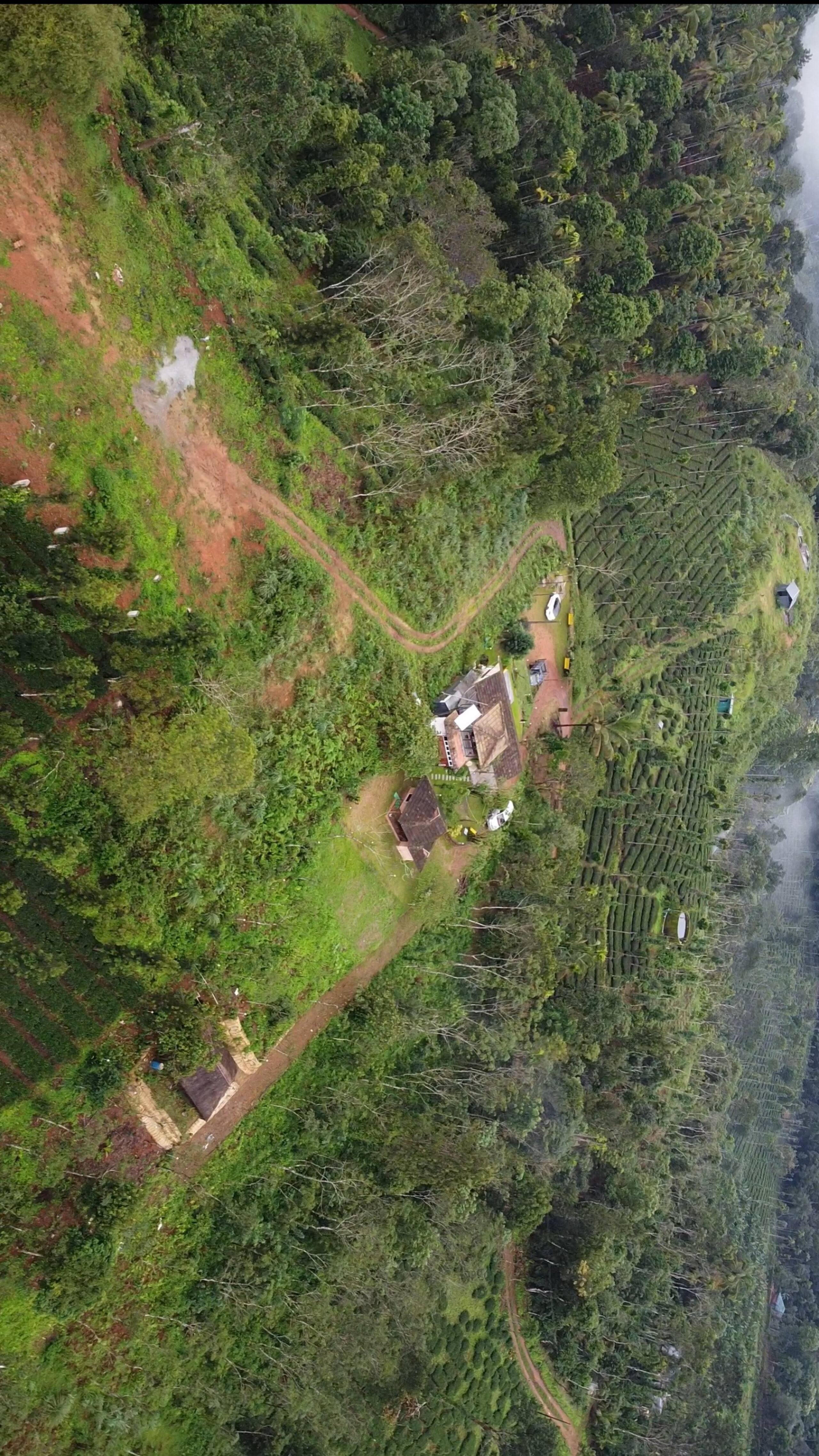 Sunrice Forest Villa Wayanad 28