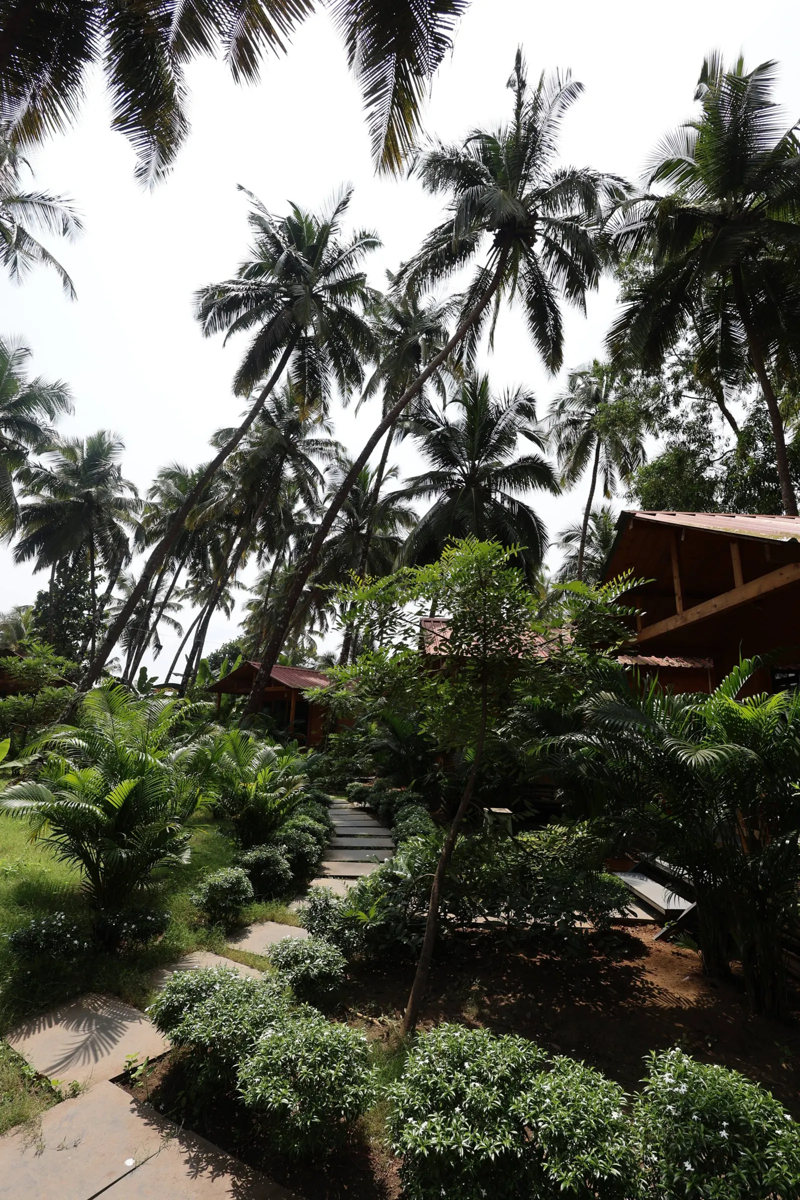 Wooden AC Cottage On the Palolem Beach Fast WiFi 18