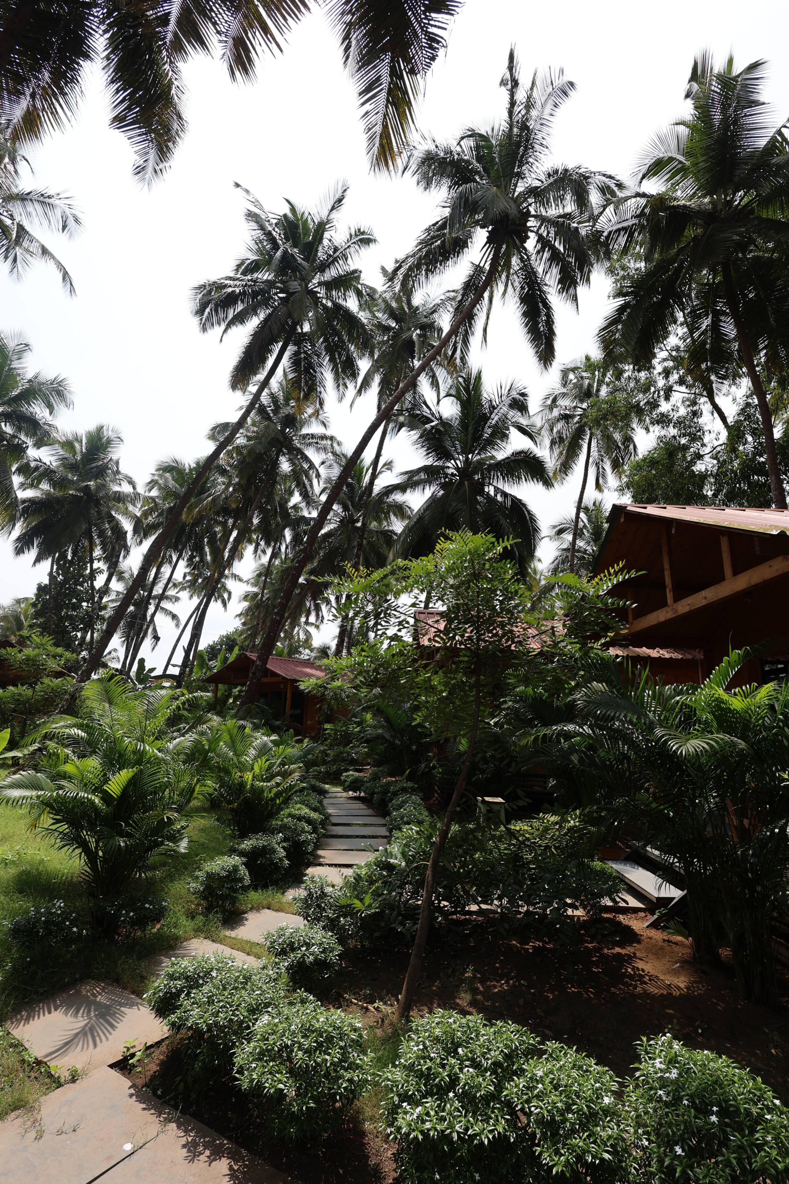 Wooden AC Cottage|On the Palolem Beach|Fast WiFi| 18