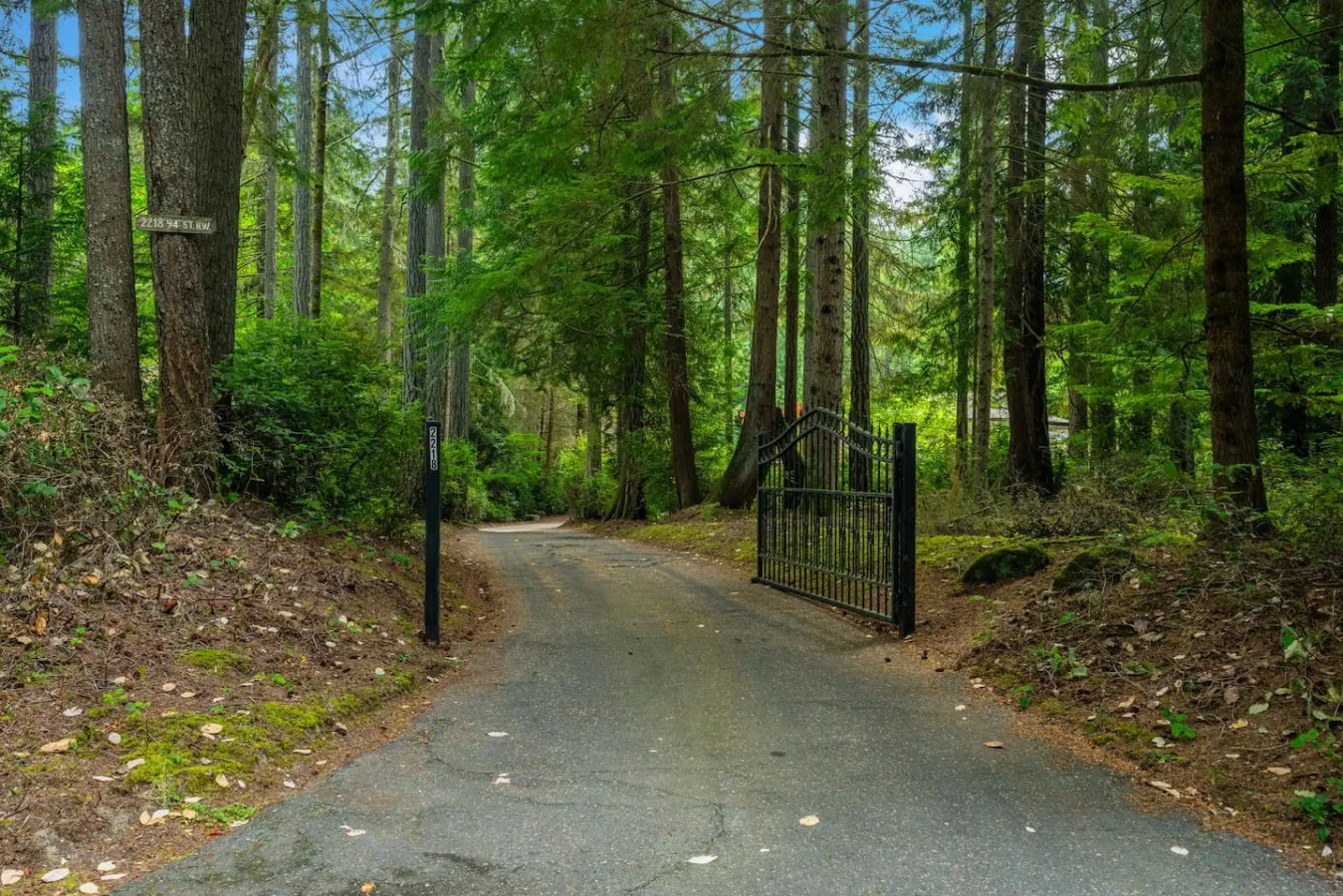 Tranquil Forest Luxury Home 9