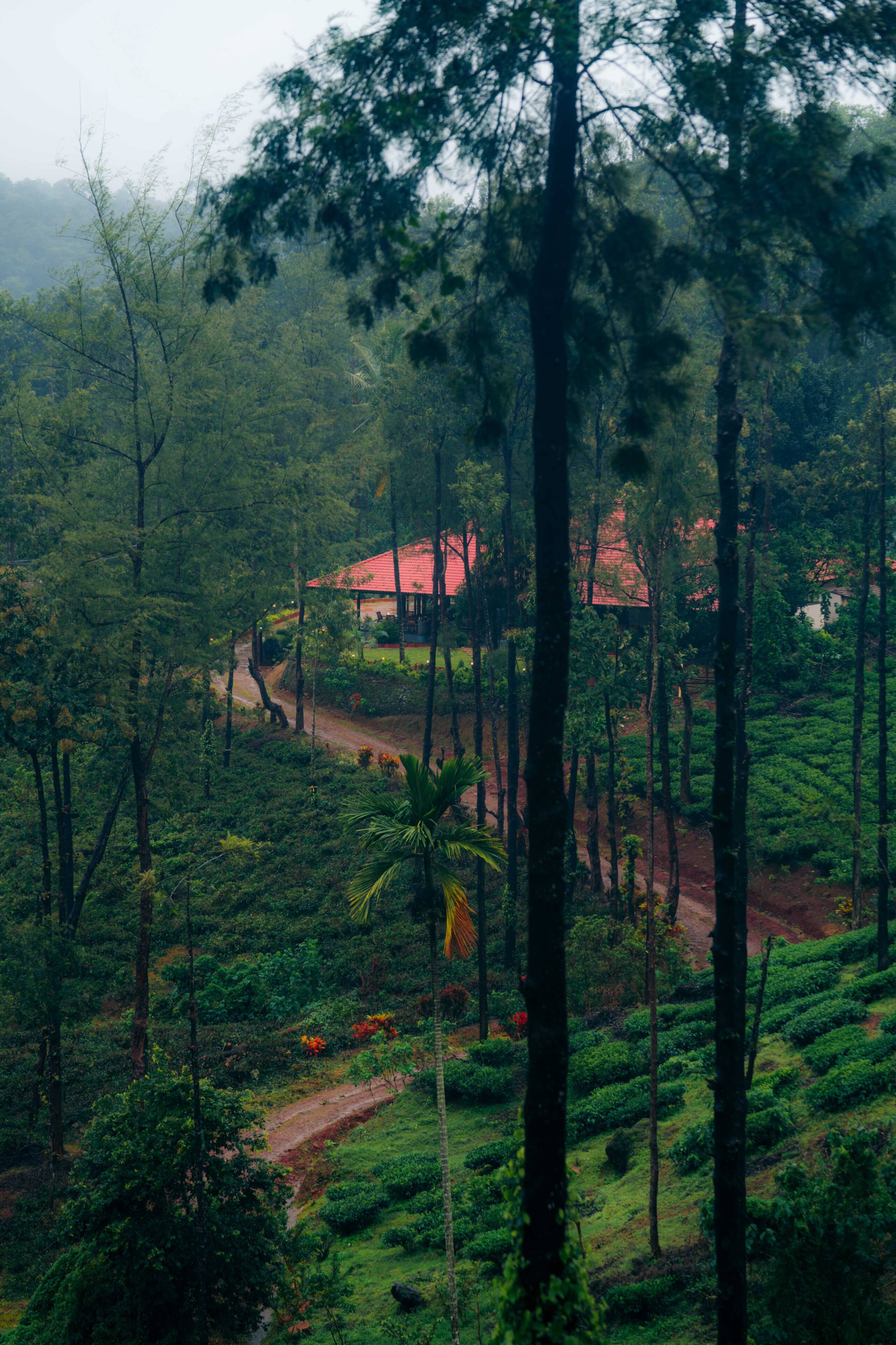 Villa Aroor- A Boutique Homestay 1