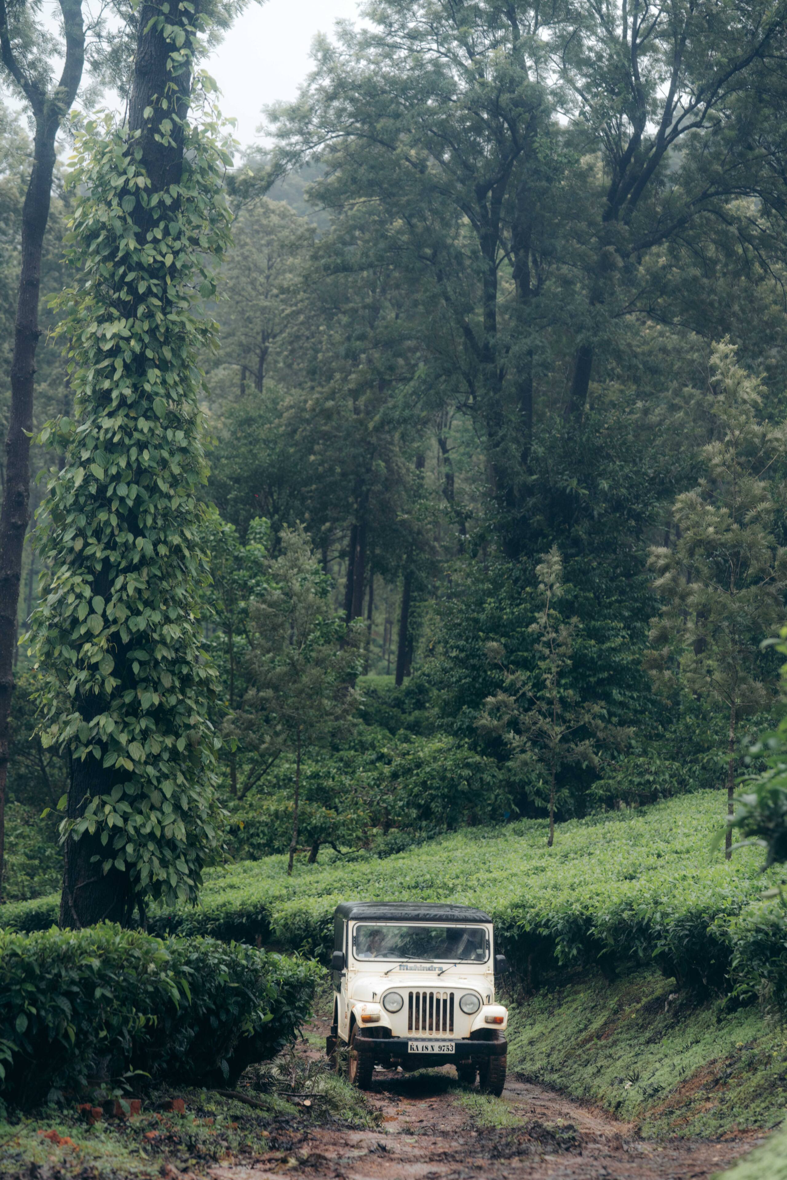 Villa Aroor- A Boutique Homestay 16