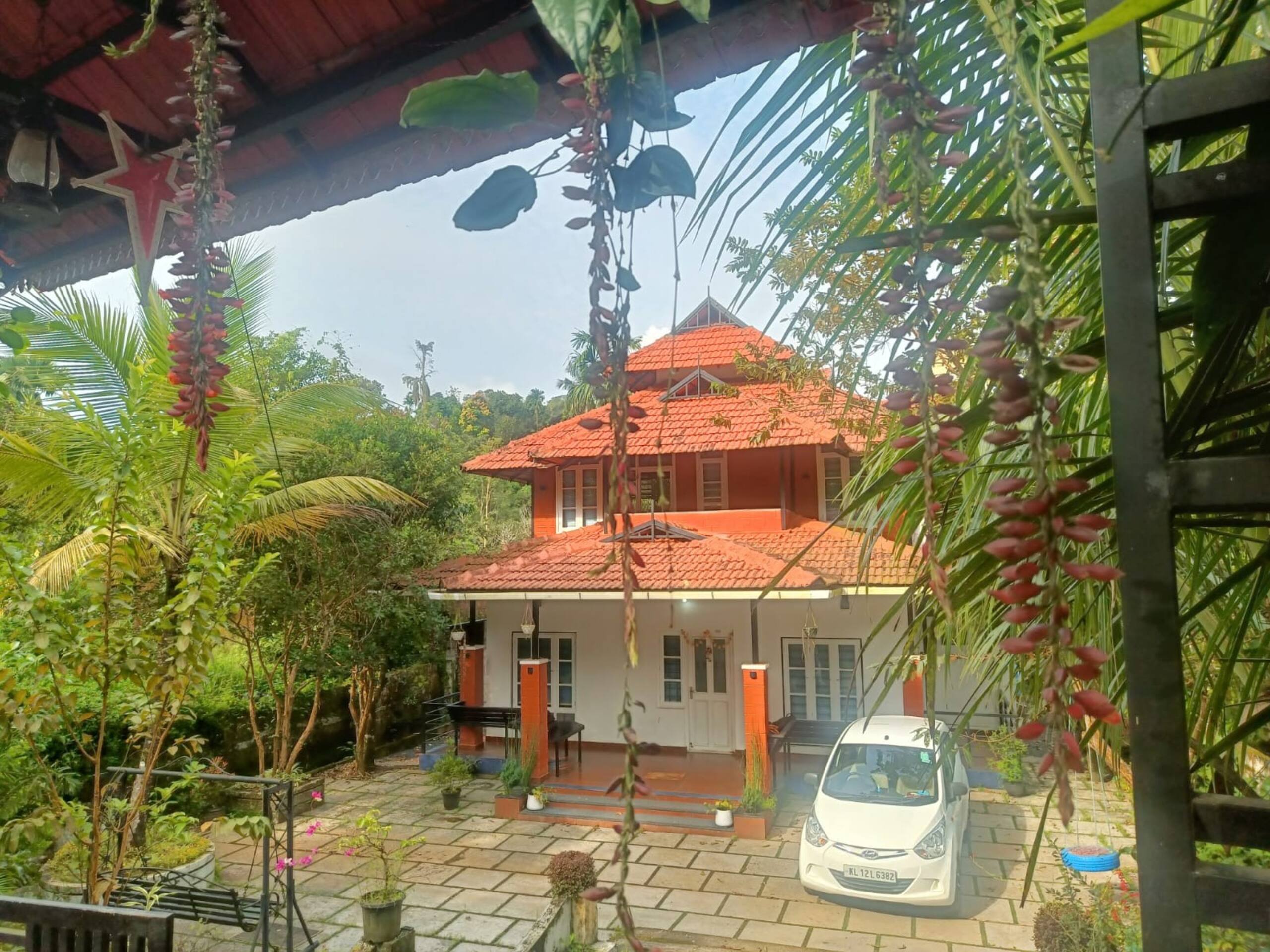 A greener corner of the earth. Offering best views 14