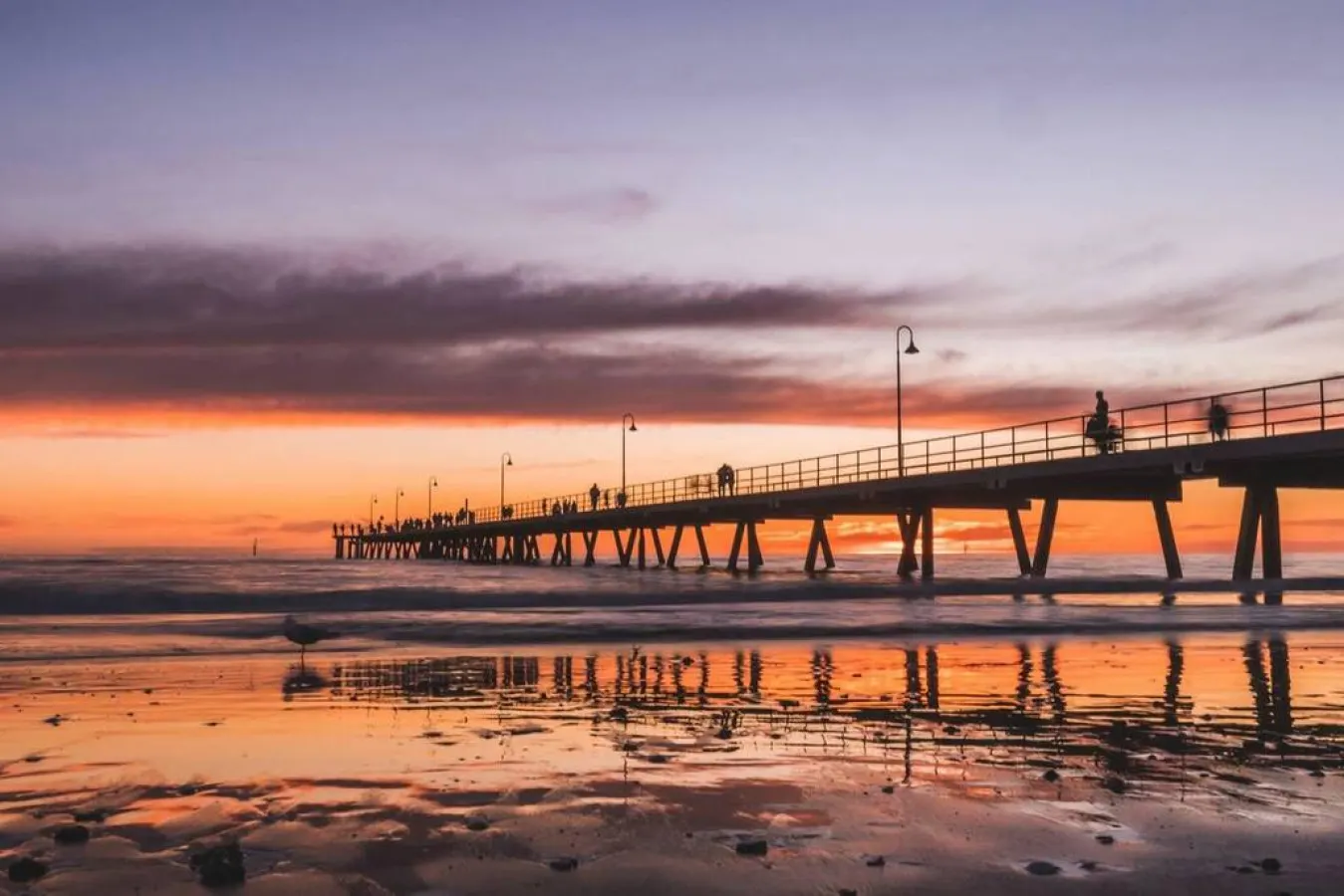 Moments on Moseley—Walk to Glenelg Beach & Jetty 5