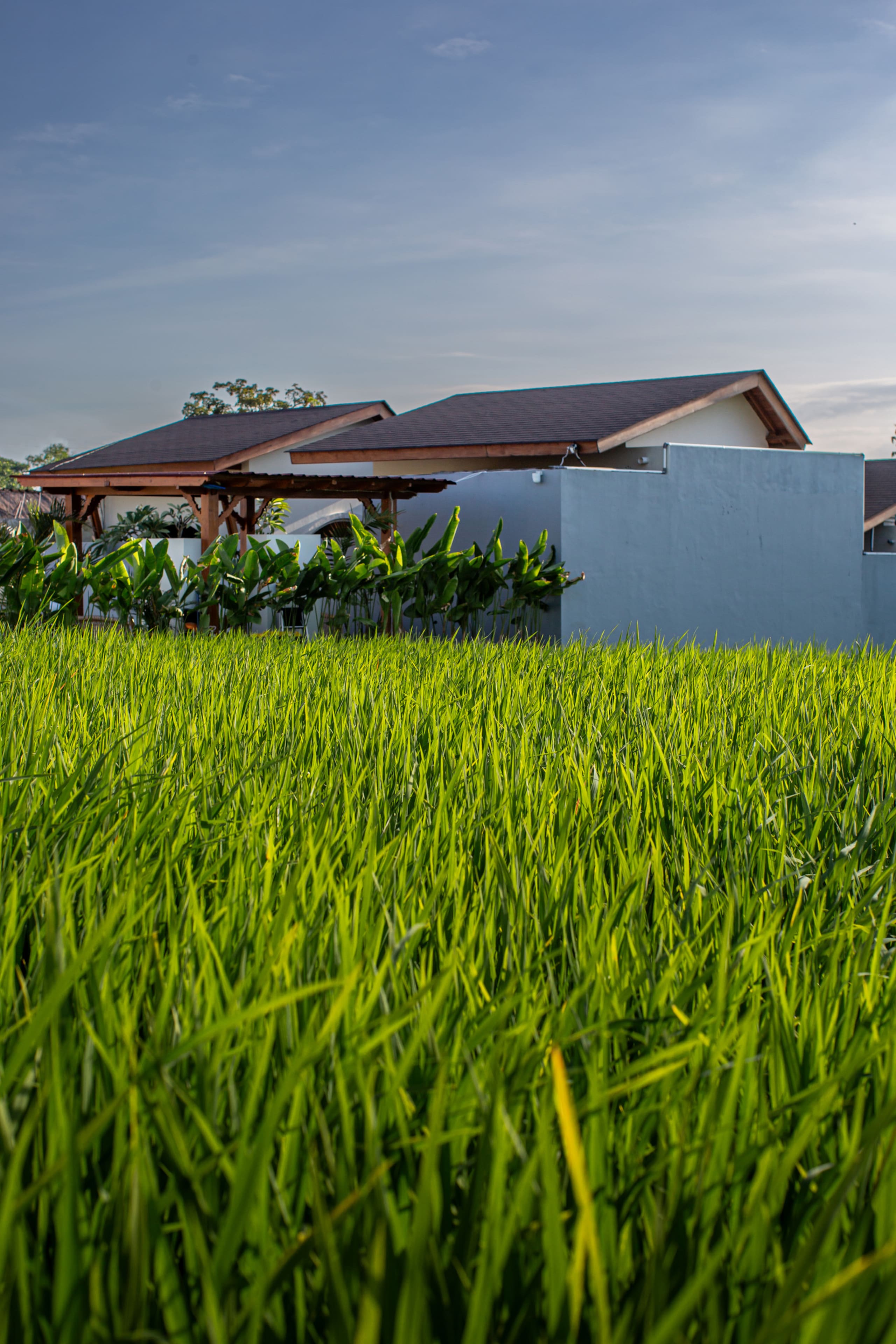Batu Bolong Villa 1 Teba - Guesthouses for Rent in Dalung, Bali, Indonesia 26