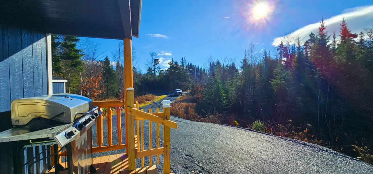 Black Bear Cabin 15