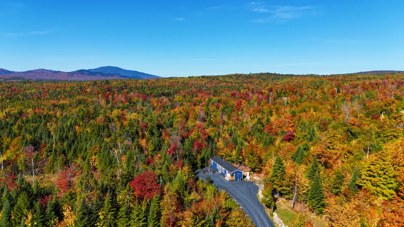 Black Bear Cabin 5