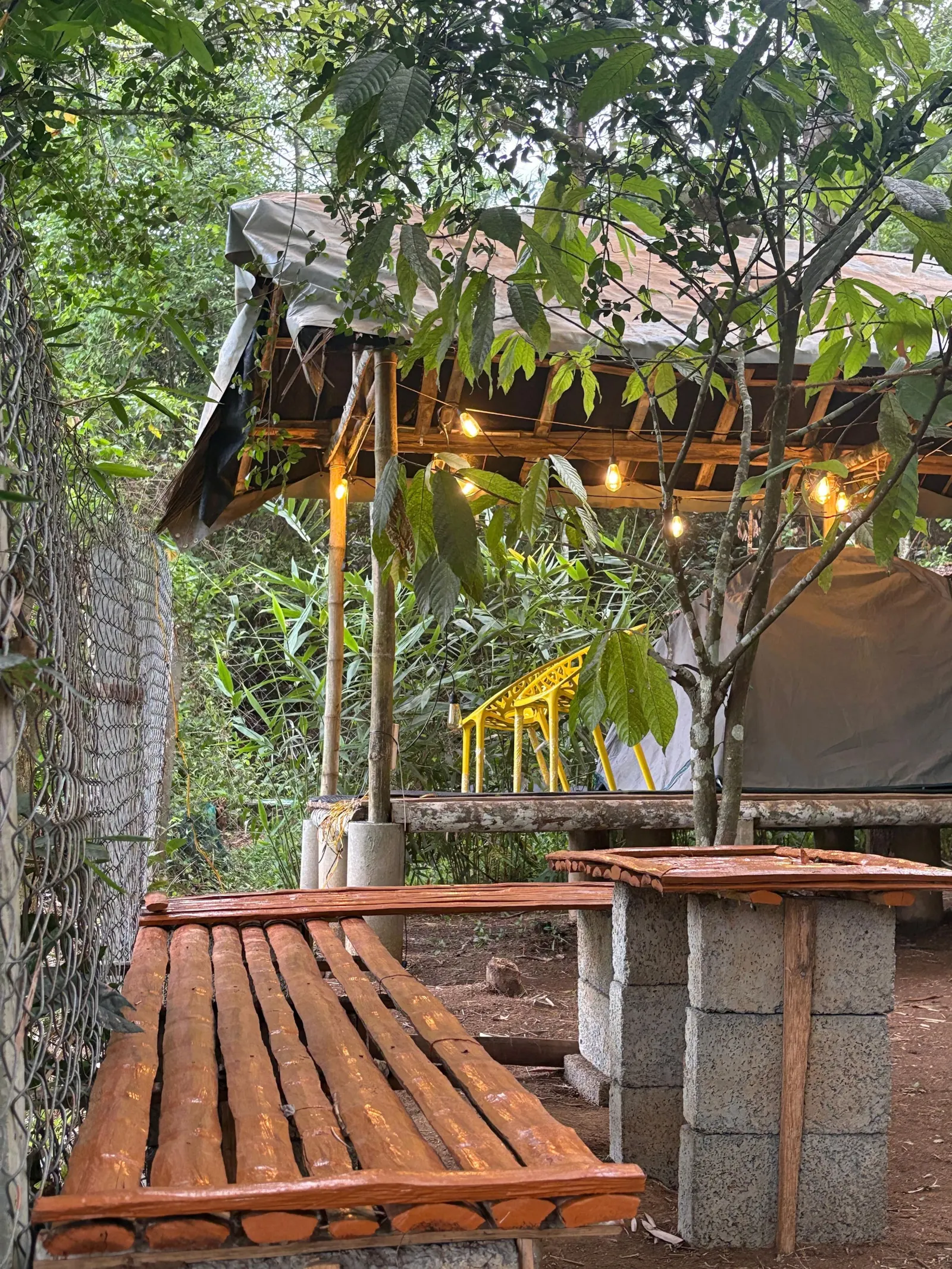 Carpa Lupa Tent Stay with Waterfront View 13