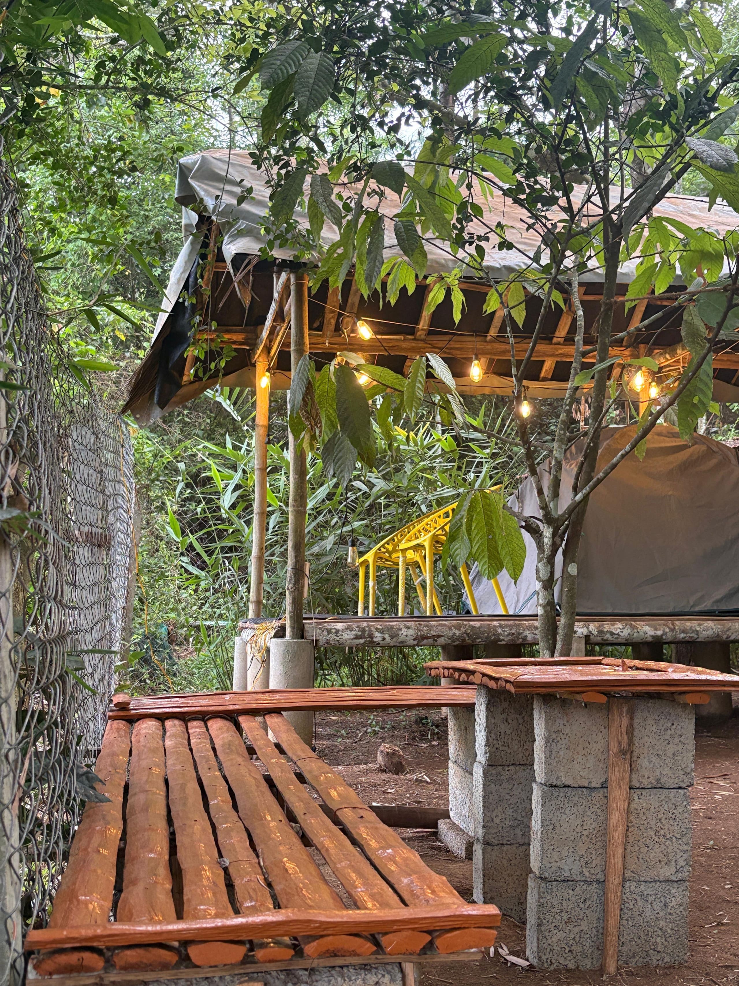 Carpa Lupa | Tent Stay with Waterfront View 13