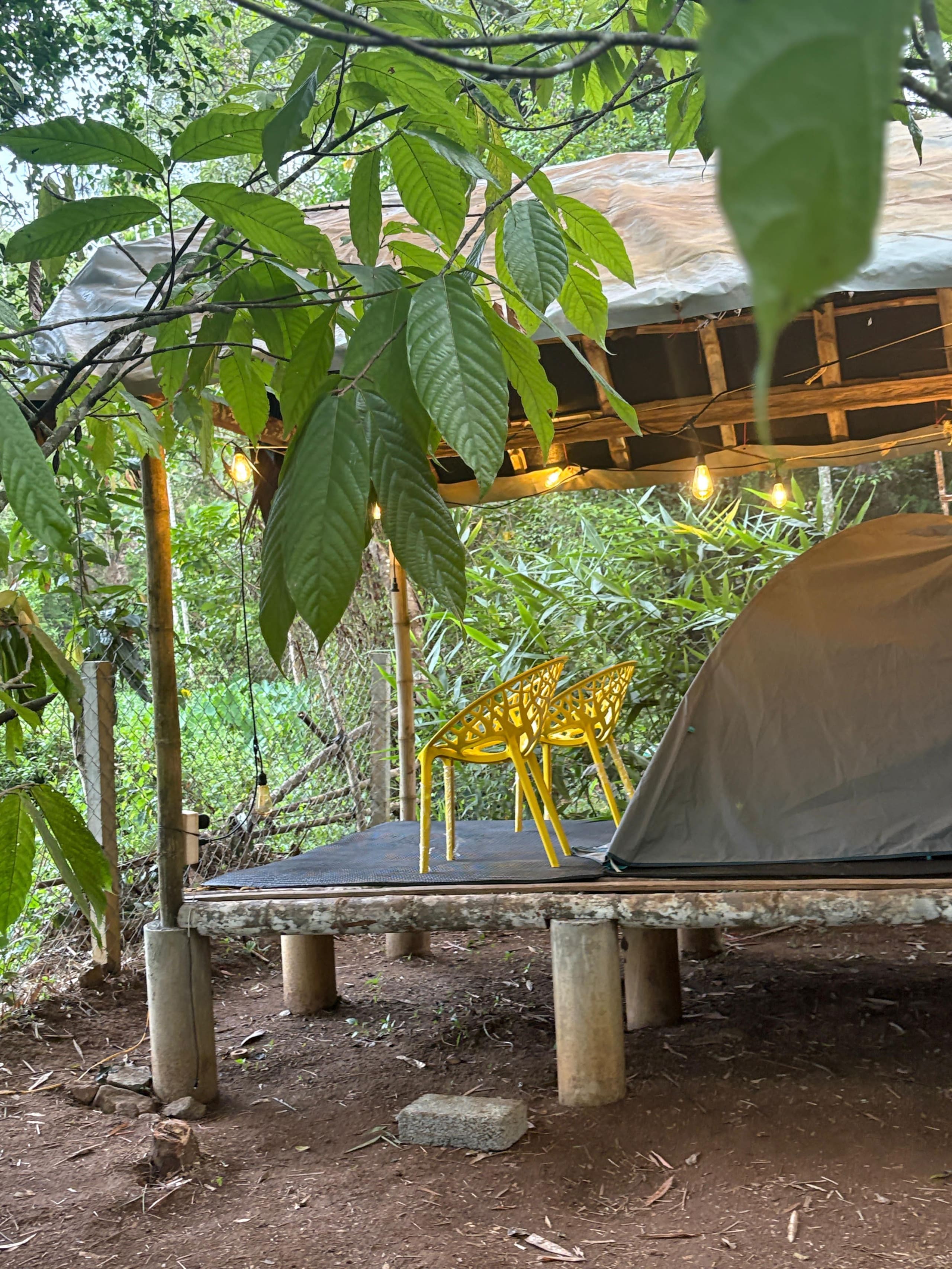 Carpa Lupa | Tent Stay with Waterfront View 14