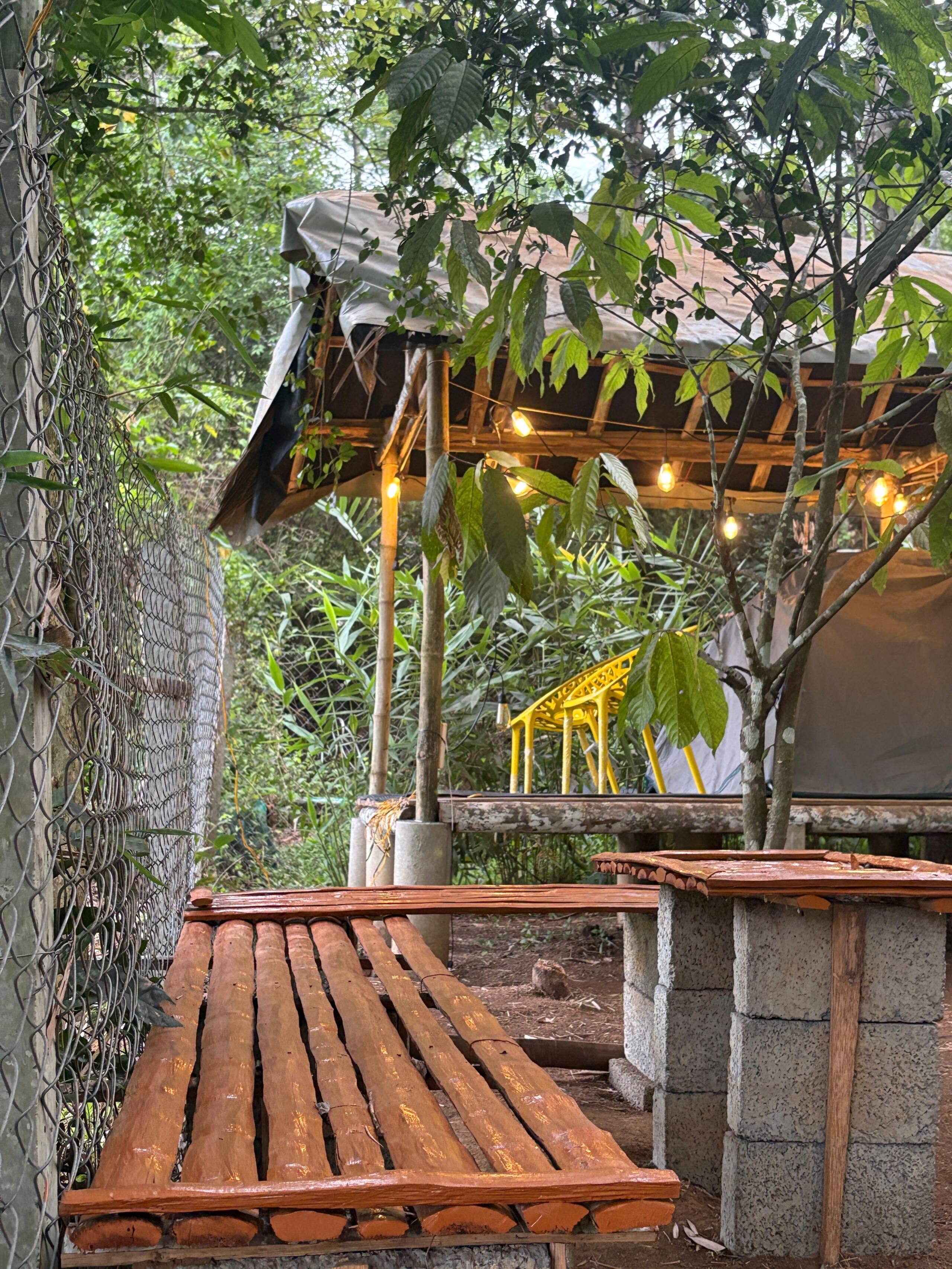 Carpa Lupa | Tent Stay with Waterfront View 22