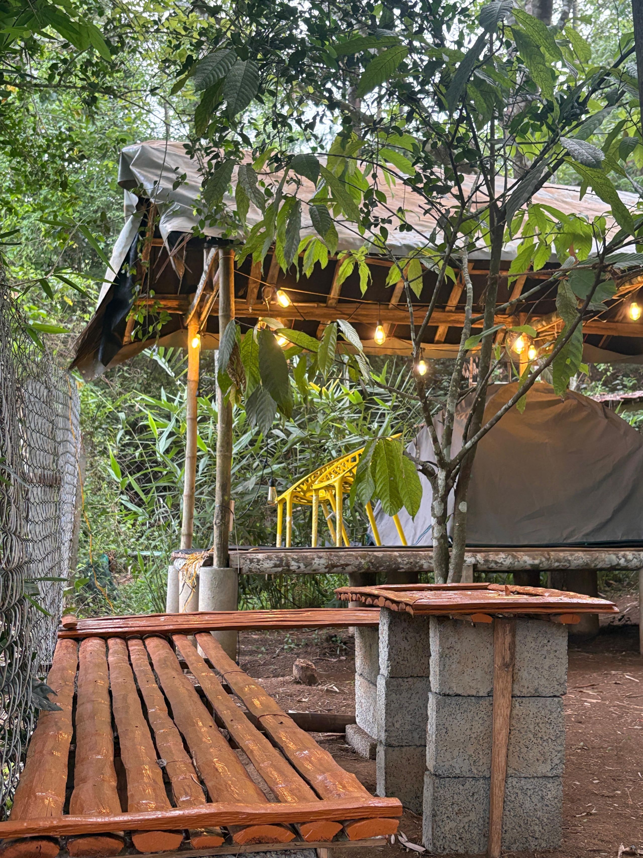 Carpa Lupa | Tent Stay with Waterfront View 16