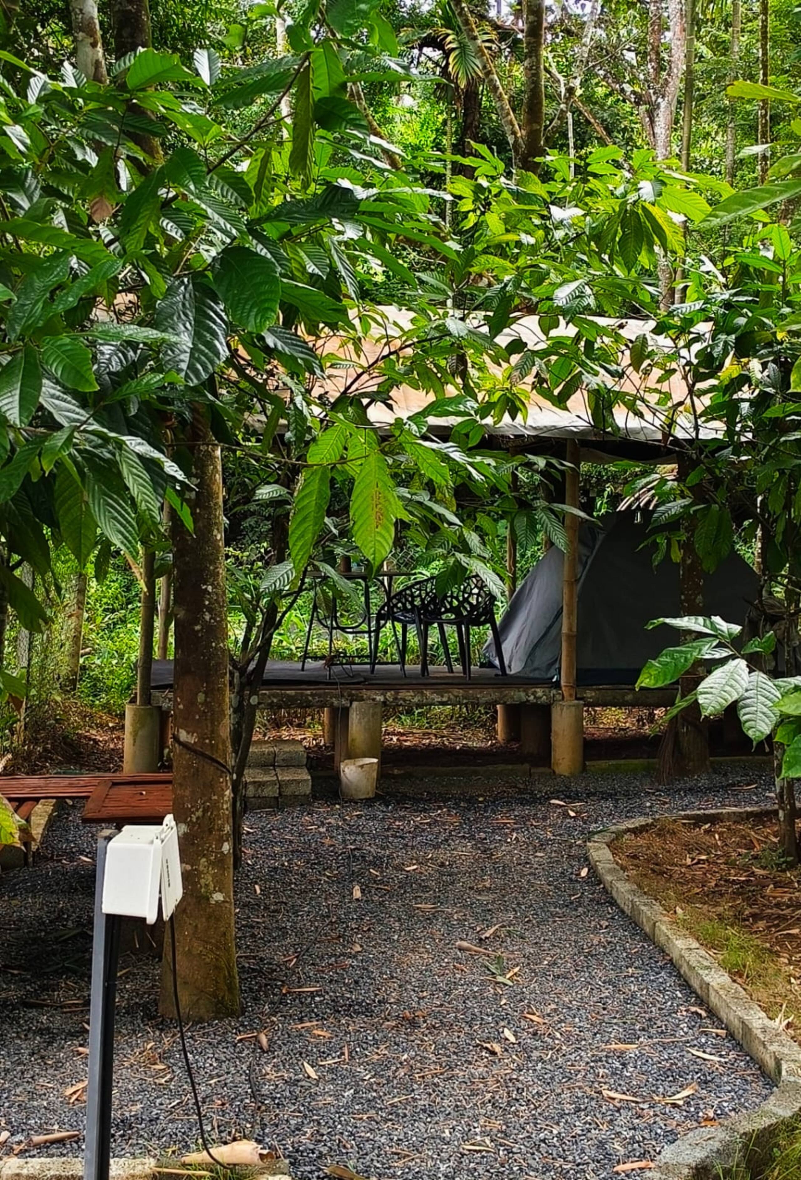 Carpa Lupa | Tent Stay with Waterfront View 39