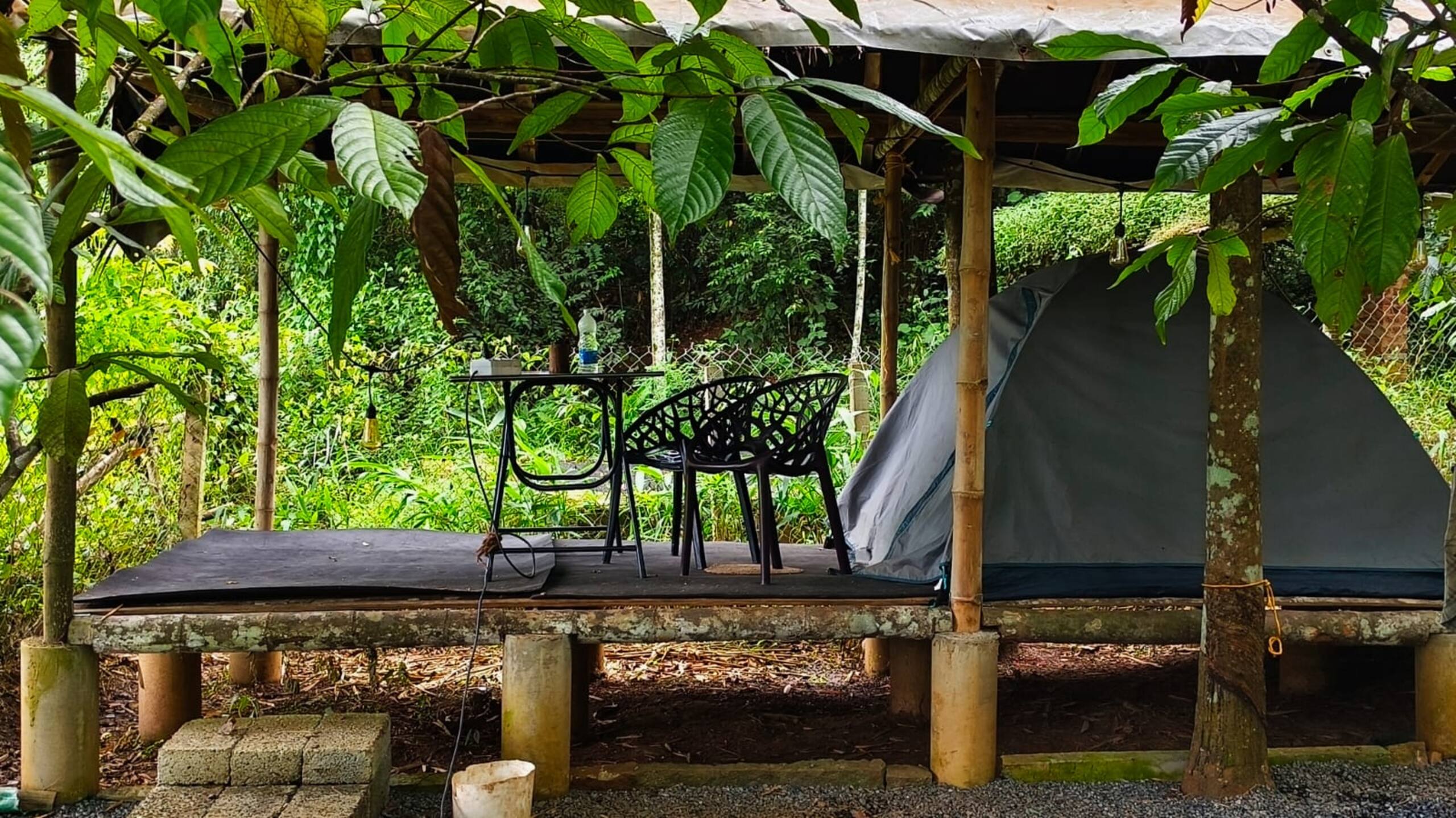 Carpa Lupa | Tent Stay with Waterfront View 37