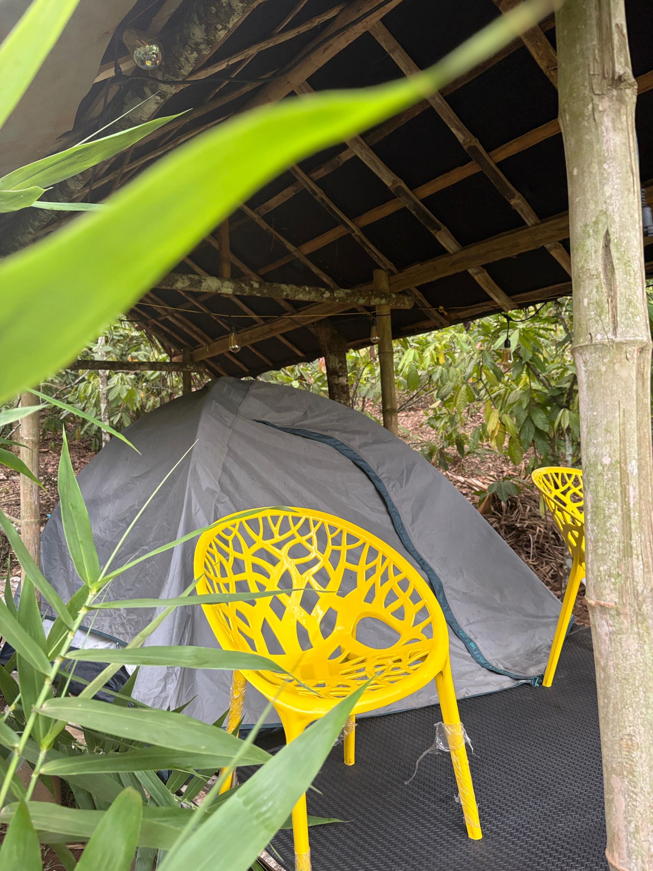 Carpa Lupa | Tent Stay with Waterfront View 12