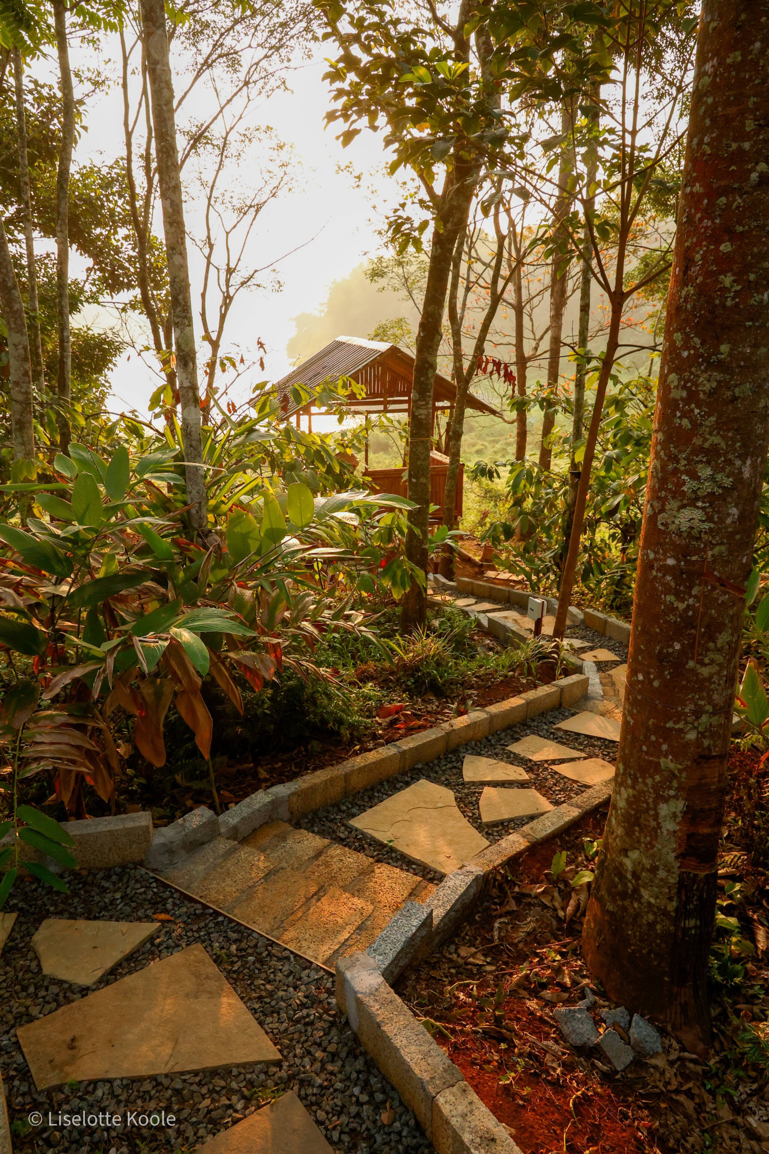Carpa Lupa | Tent Stay with Waterfront View 29