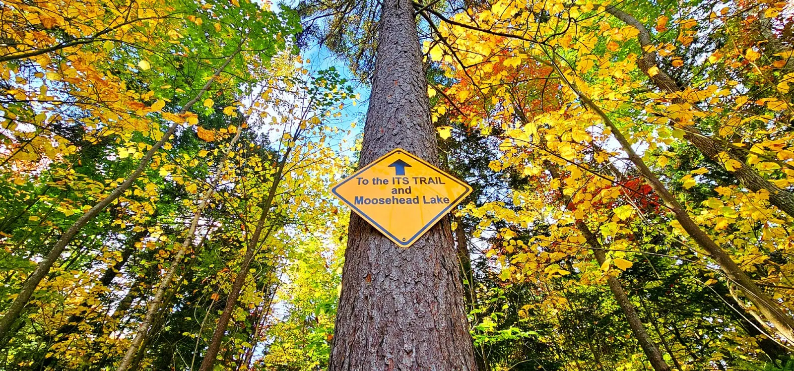 Moosehead Lake Lodge 10