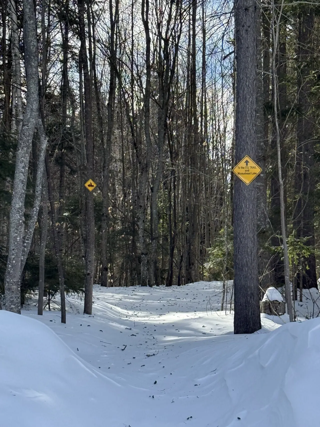 Moosehead Lake Lodge 12