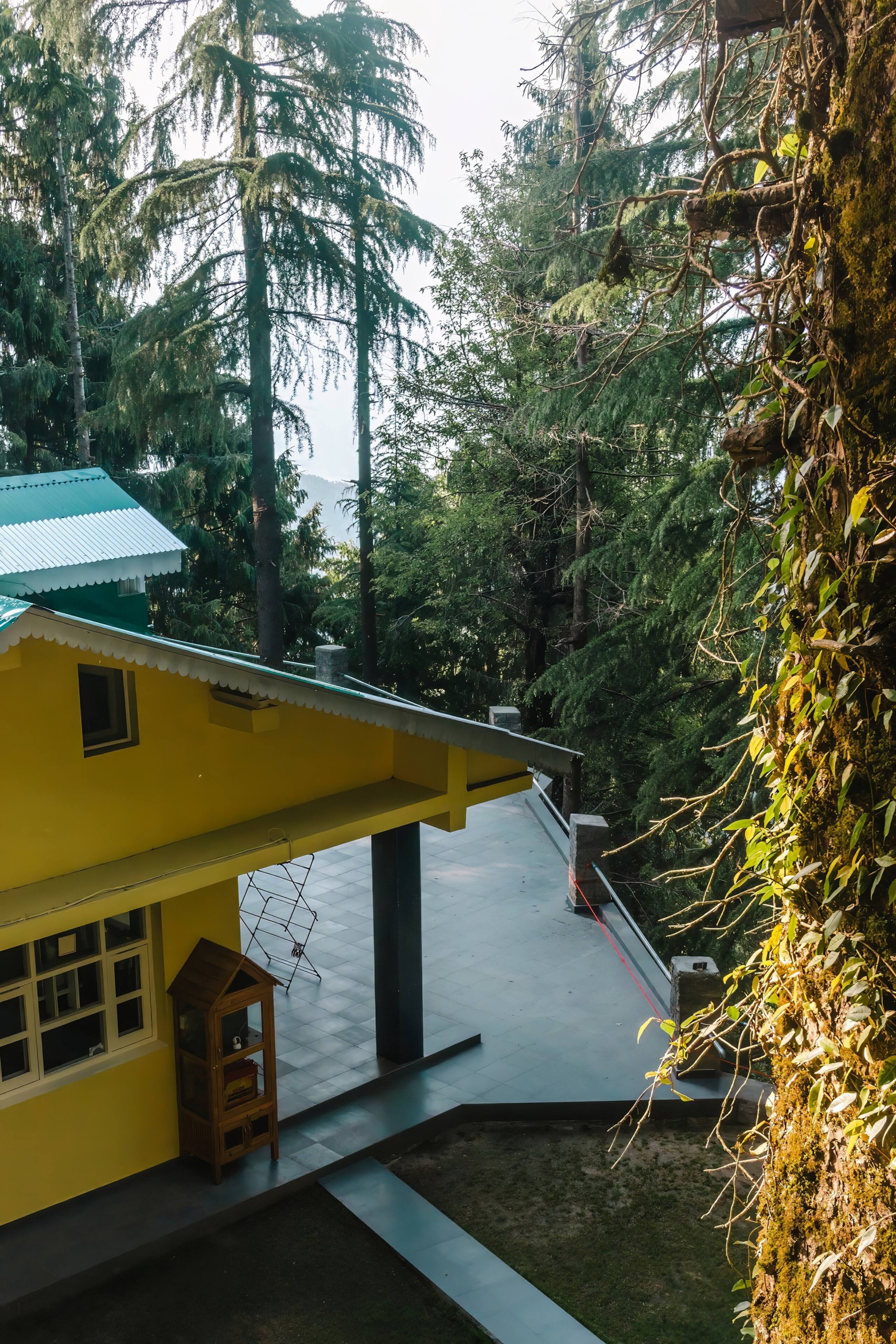 3BRCottage @BluSalzzVillas The Pine Tree Dalhousie 27