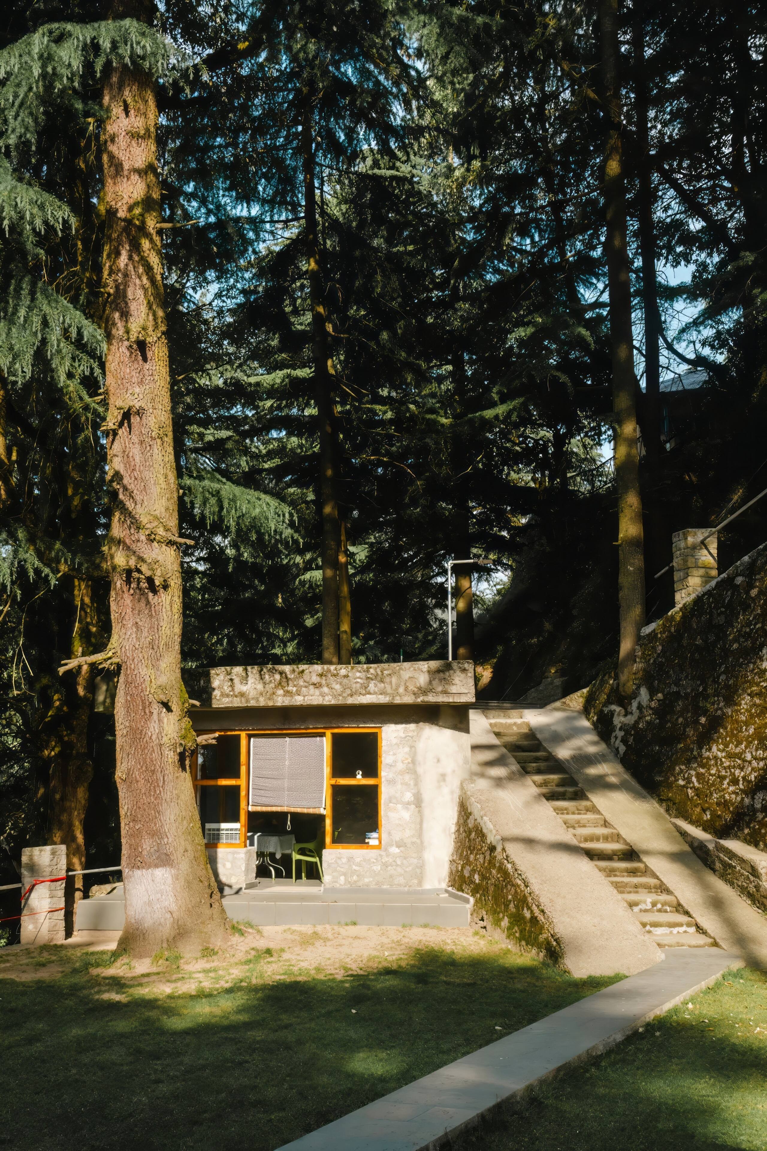 3BRCottage @BluSalzzVillas The Pine Tree Dalhousie 31