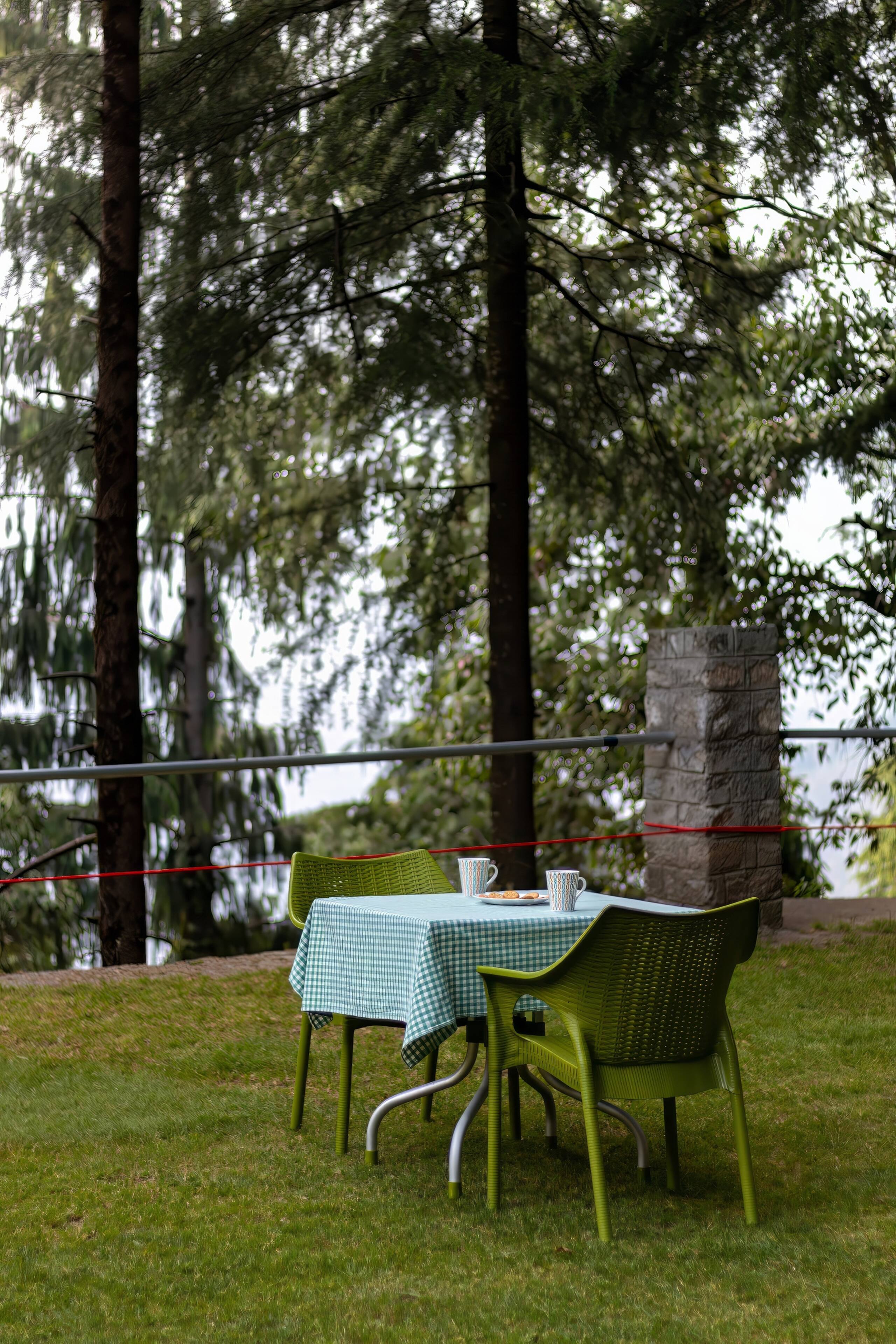 3BRCottage @BluSalzzVillas The Pine Tree Dalhousie — photo 4