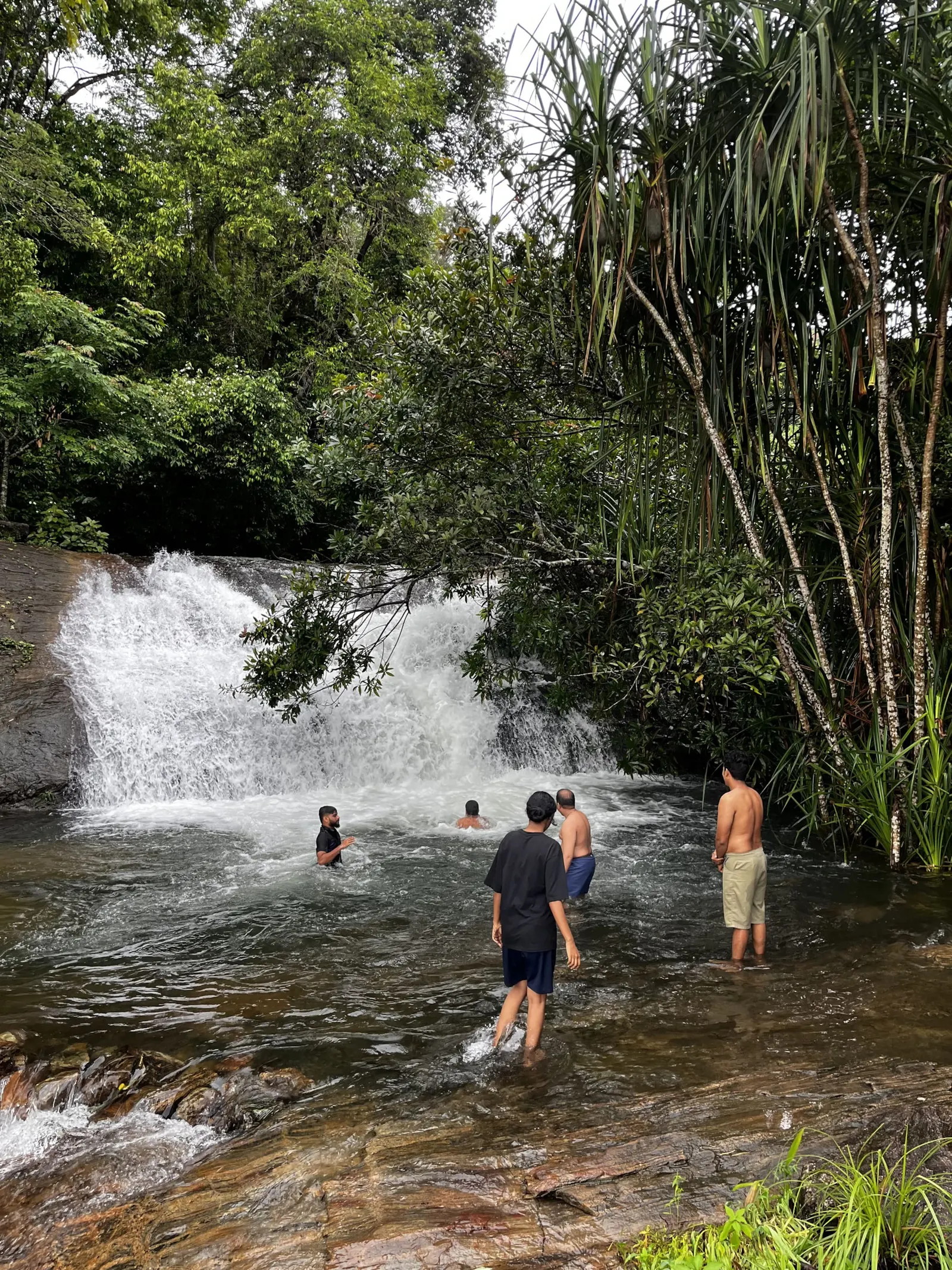 Aruvi Homestay Plantation Stay & Stream, Idukki 2