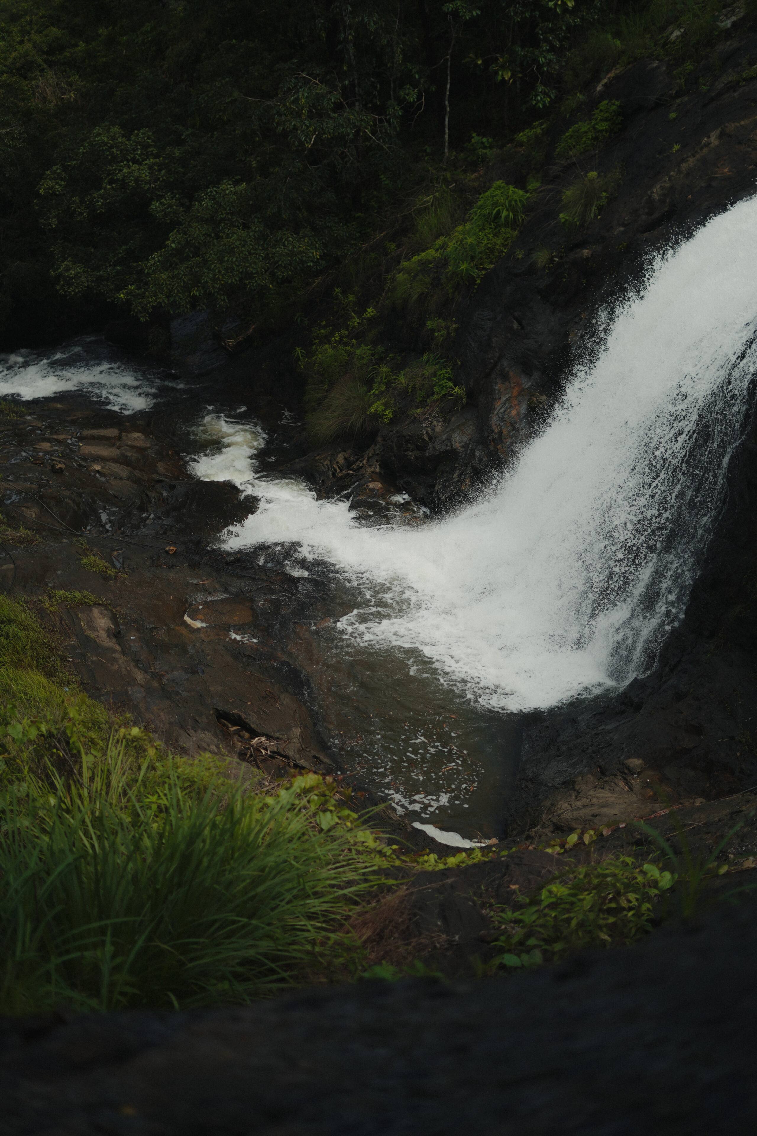 Aruvi Homestay | Plantation Stay & Stream, Idukki 5