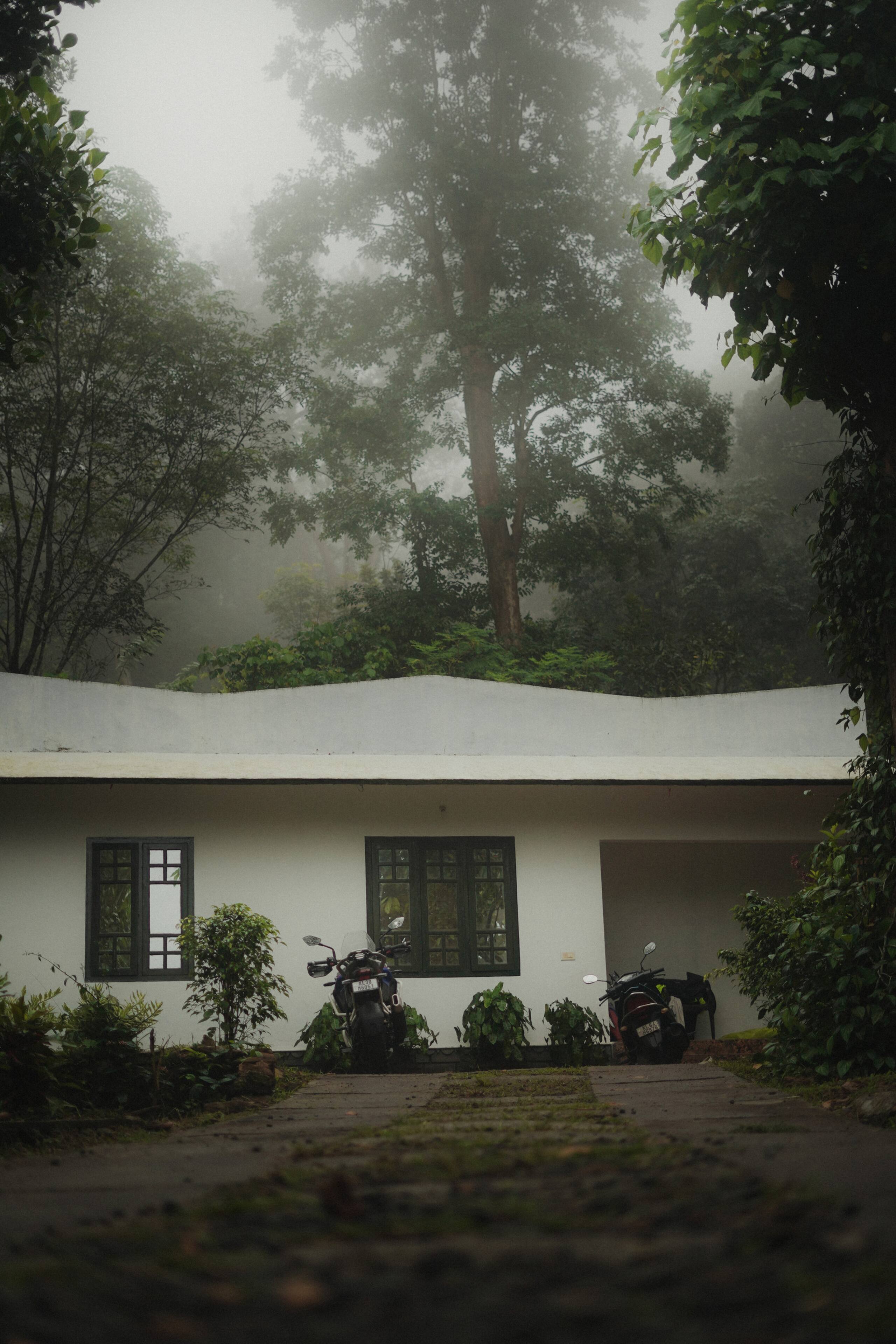 Aruvi Homestay | Plantation Stay & Stream, Idukki