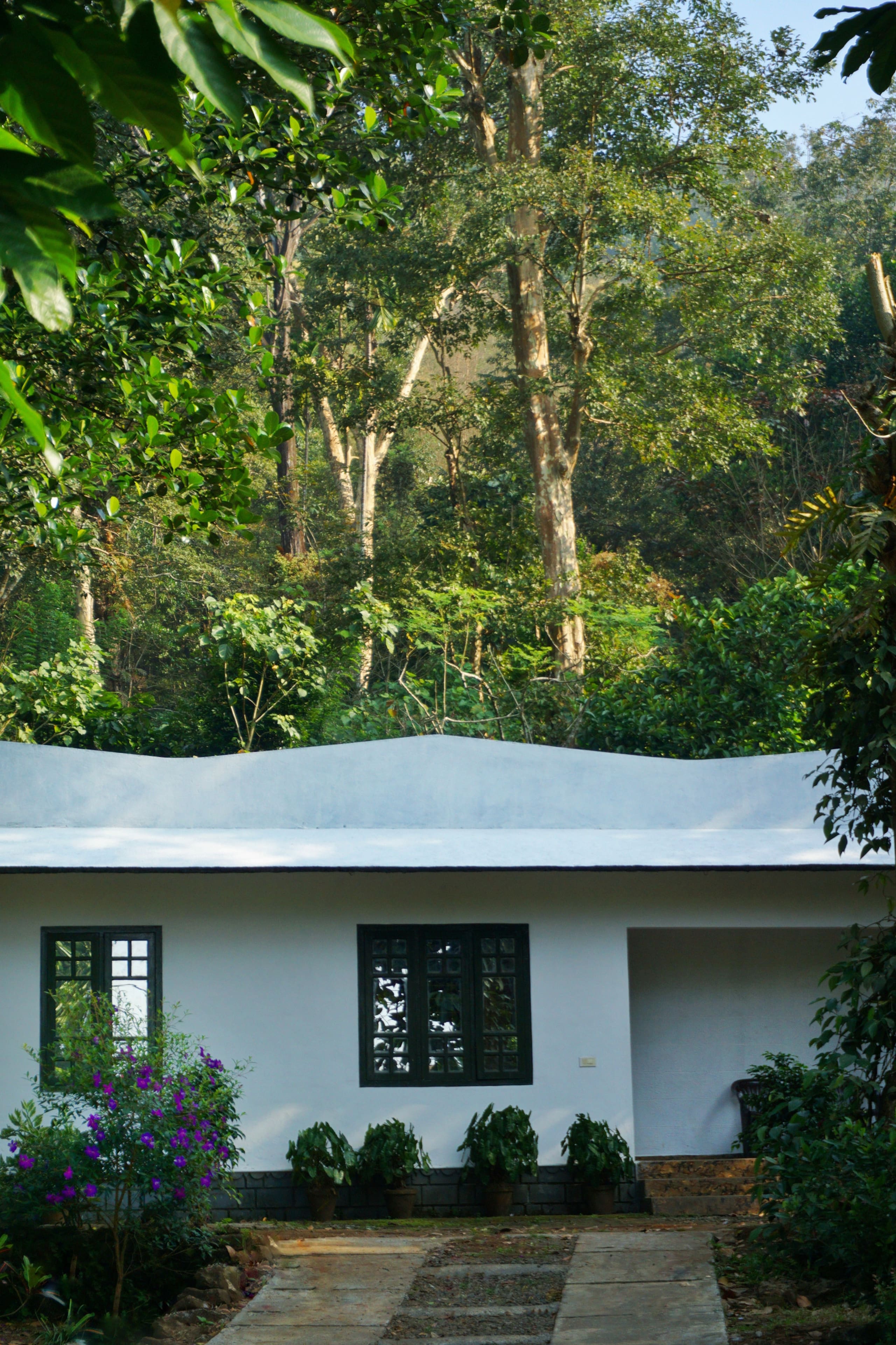 Aruvi Homestay | Plantation Stay & Stream, Idukki 38