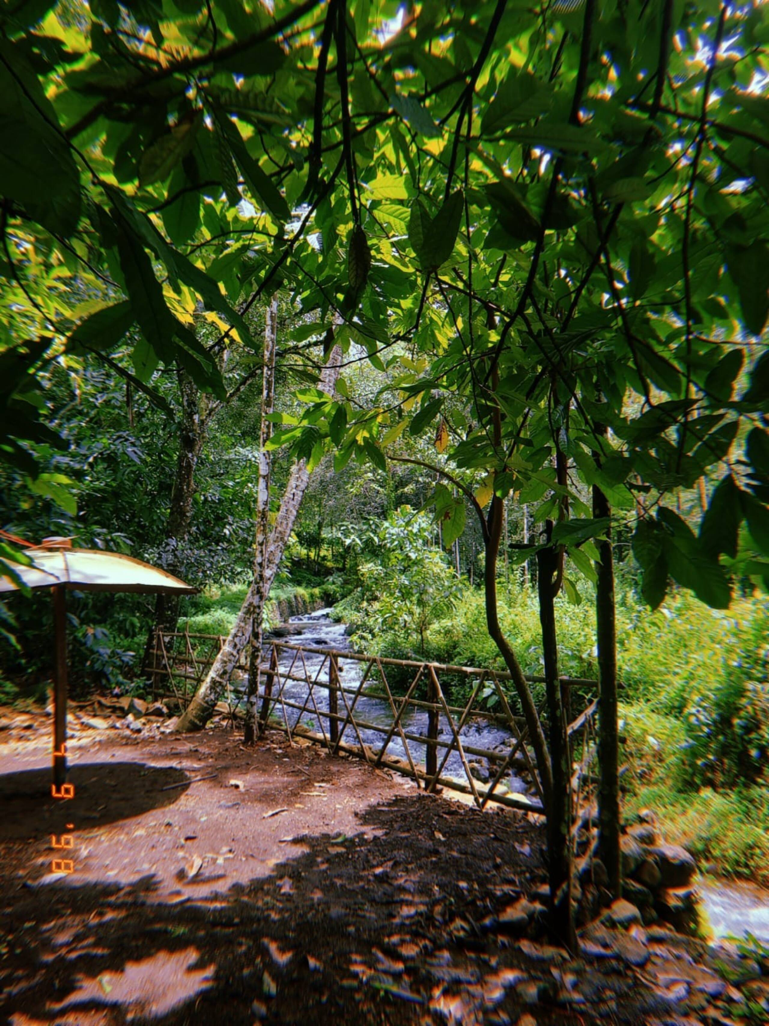 Aruvi Homestay | Plantation Stay & Stream, Idukki 8
