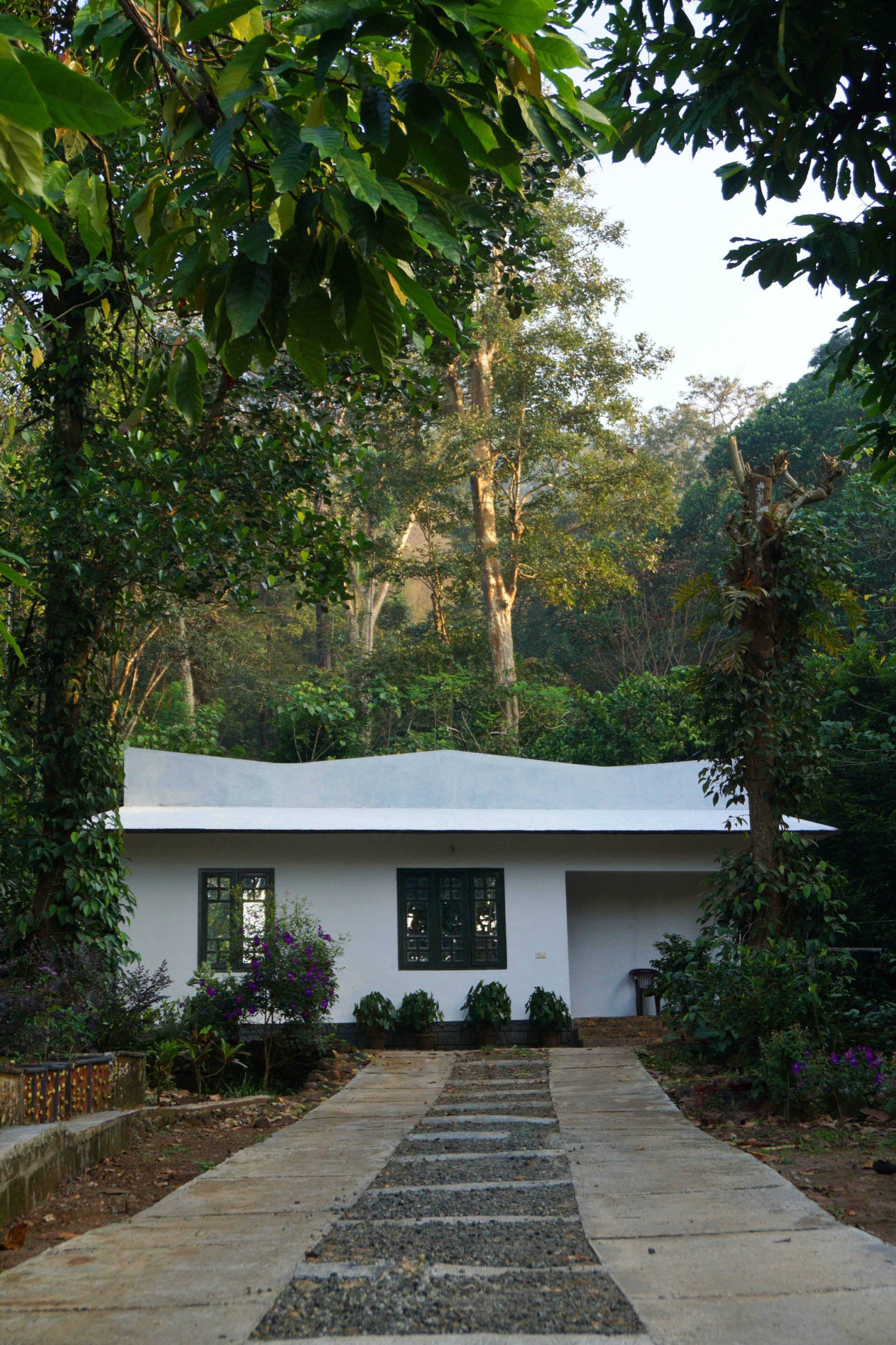 Aruvi Homestay | Plantation Stay & Stream, Idukki 39