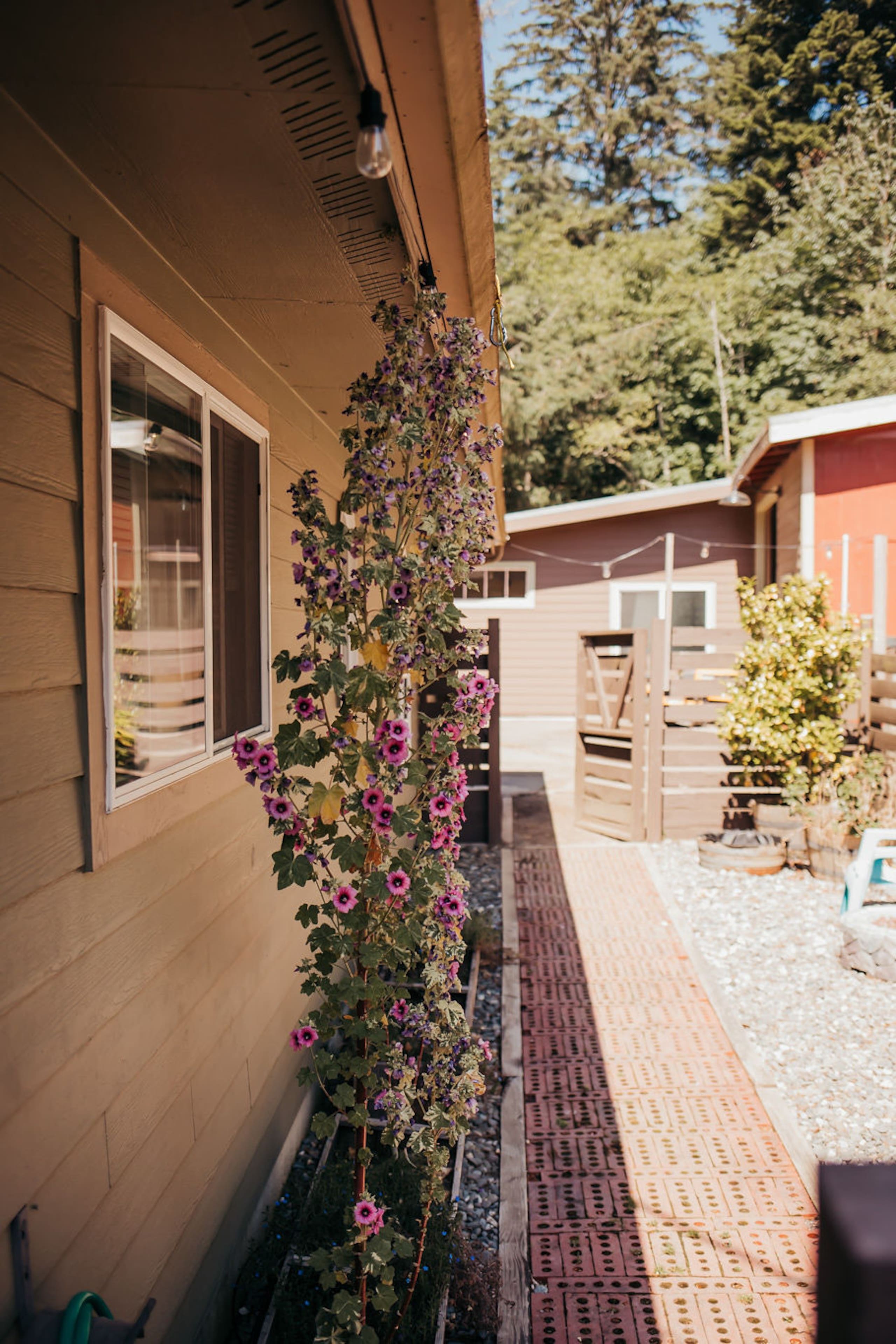 Taylor Creek Lodge, Entire facility 19