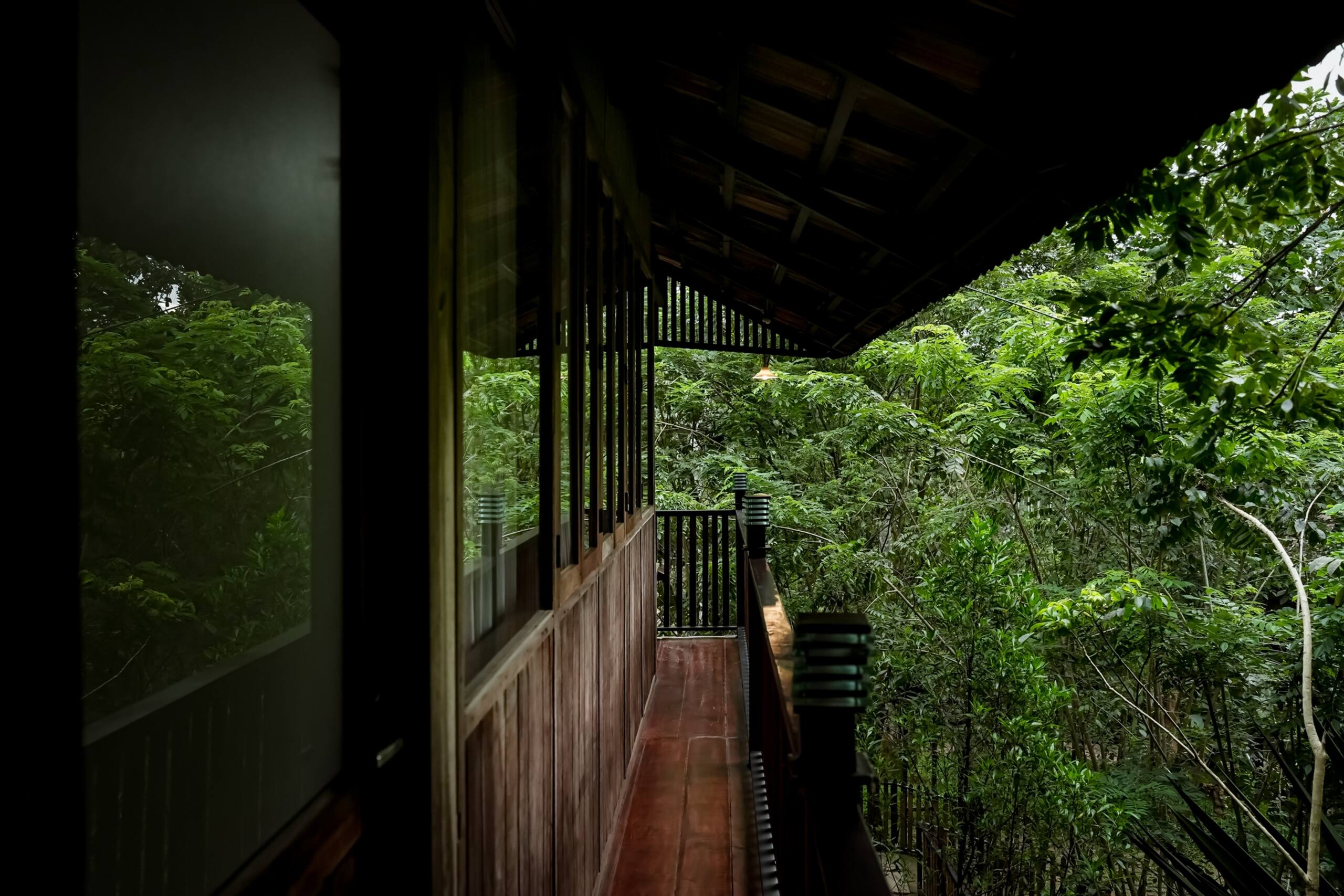 Peaking Jungle - Forestree's 9